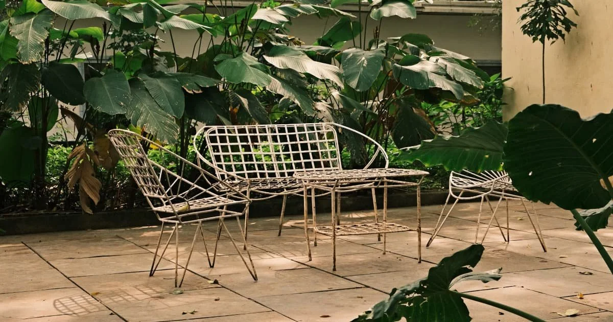 ideas de patios con plantas