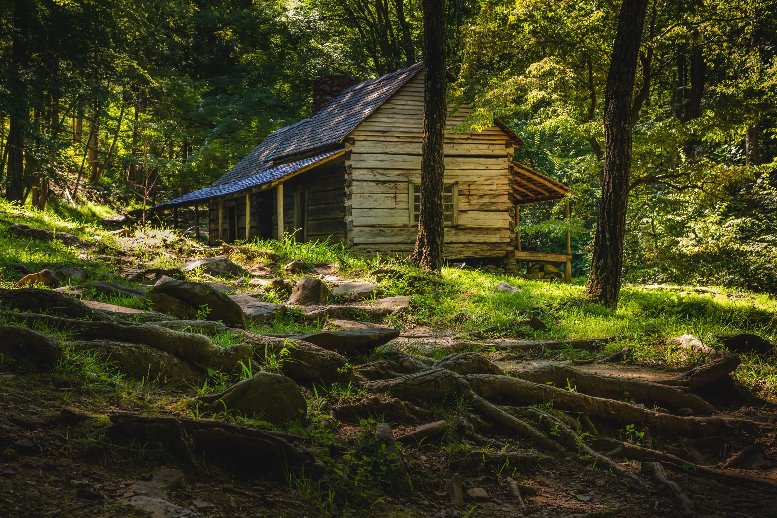 A rustic wooden cabin in The Smokey Mountain National Park surrounded by trees in a forest, with sunlight filtering through the leaves and a trail of rocks and roots leading to it.