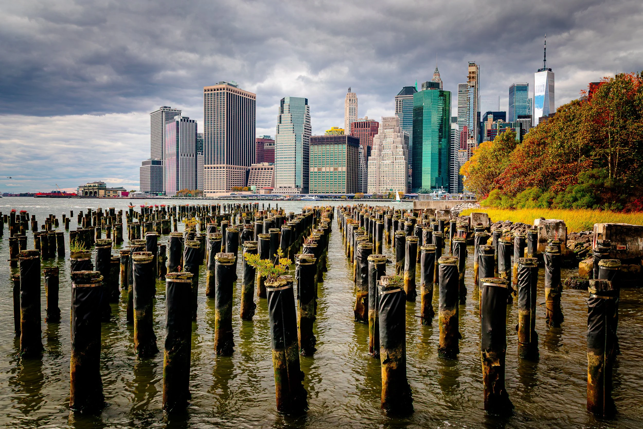 View of the New York City skyline with buildings and skyscrapers, seen across the water with wooden pilings in the foreground and fall foliage on the right side.