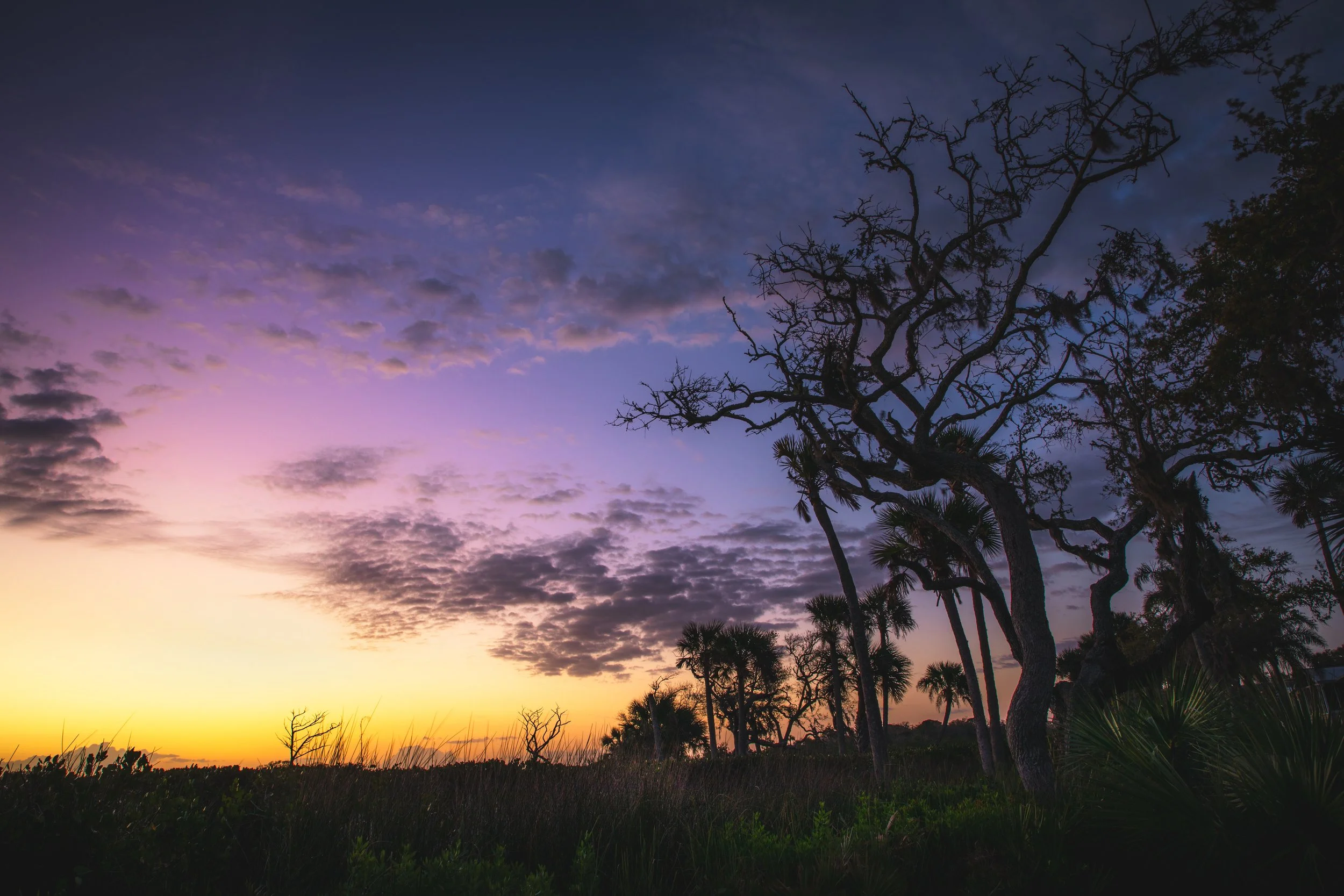 Silhouetted trees under a colorful sunset sky with purple, pink, and orange clouds.