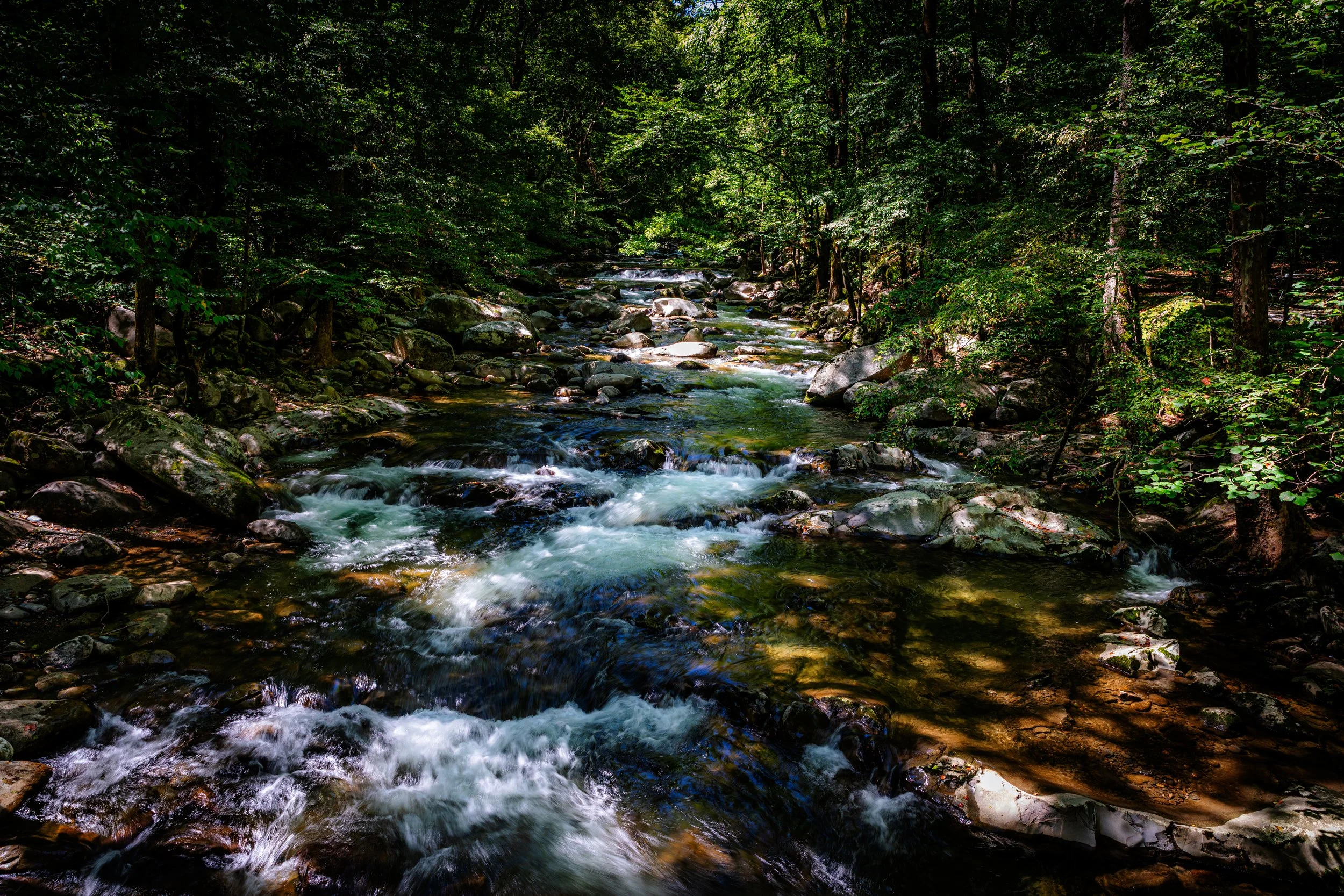 A forest stream flowing over rocks in The Smokey Mountain National Park  surrounded by lush green trees and foliage.