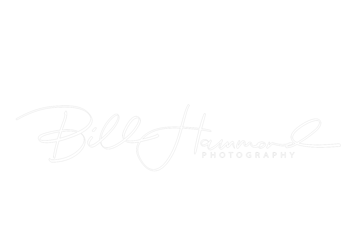Bill Hammond Photography