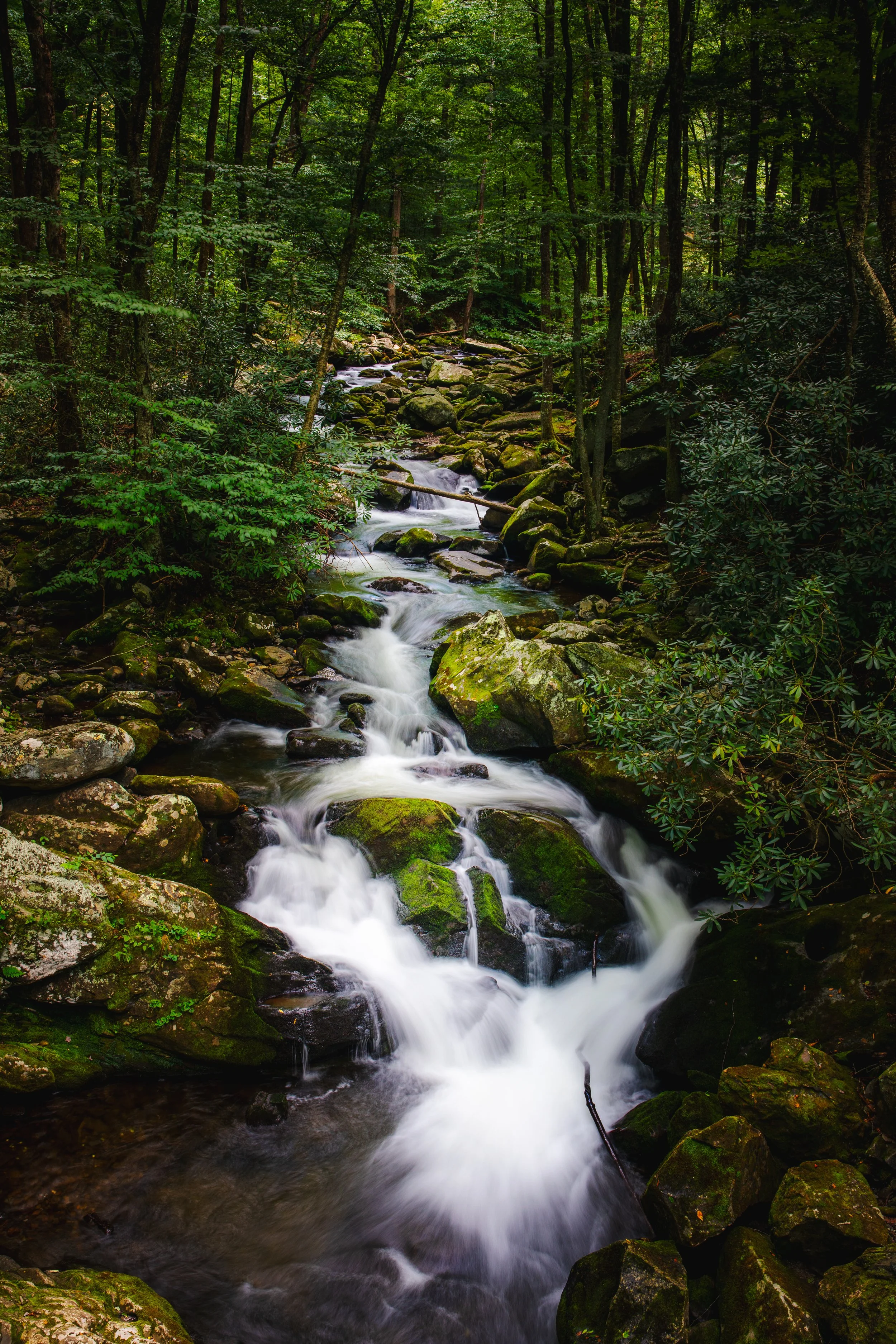 A small waterfall flowing in The Smokey Mountain National Park over moss-covered rocks in a dense green forest.