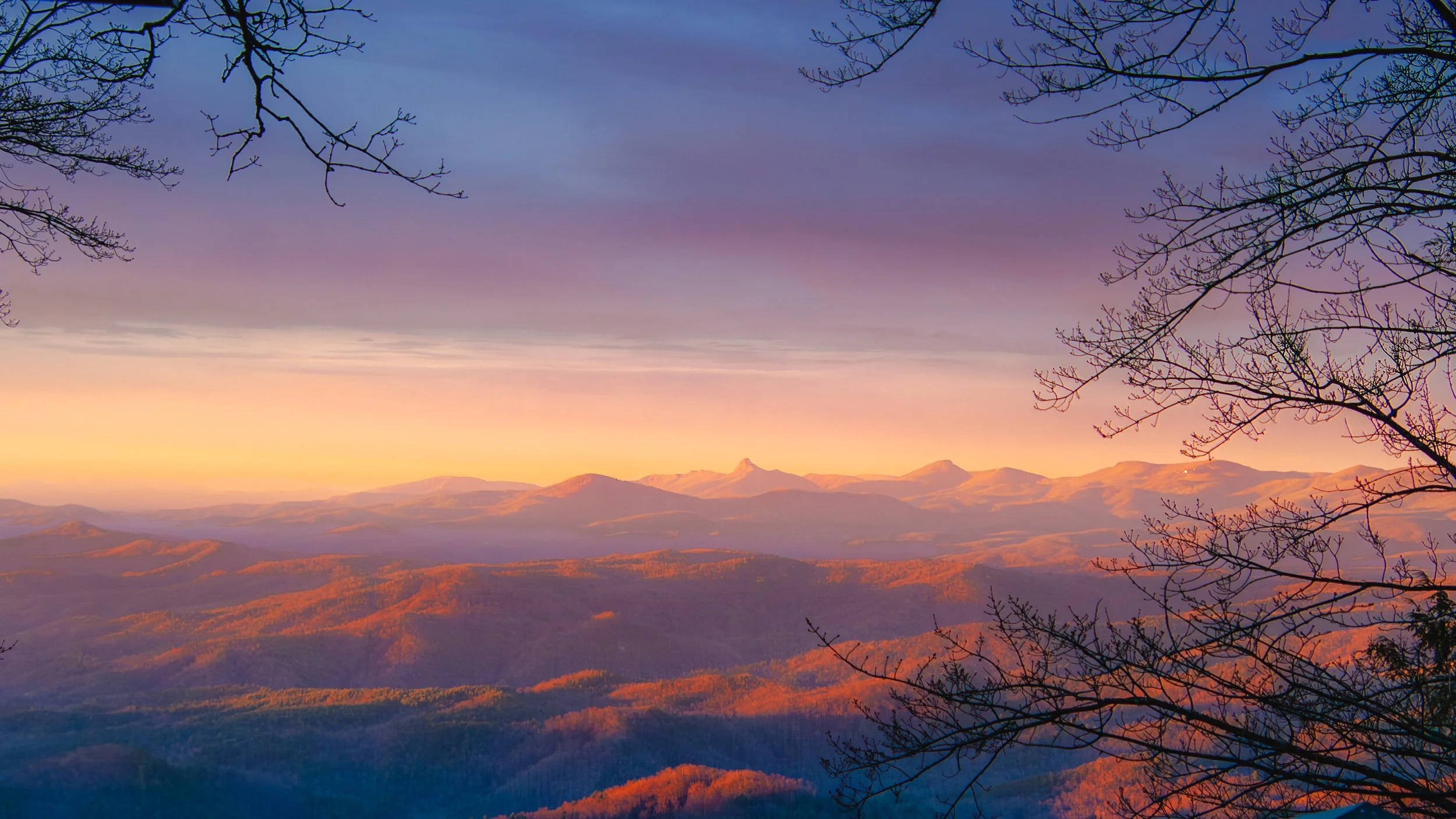 Sunrise over the Blue Ridge mountain range in Blowing Rock NC with partially bare tree branches in the foreground.