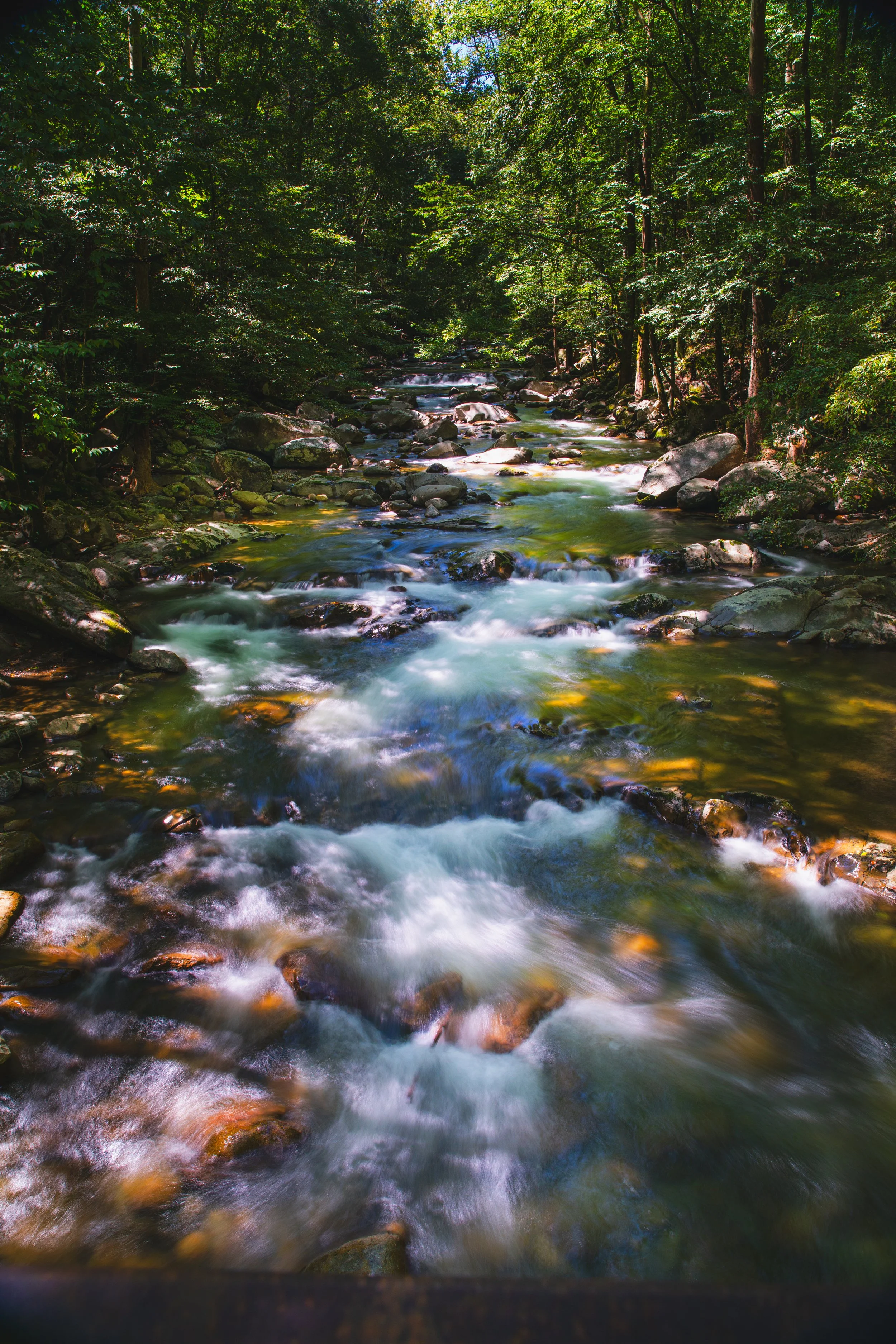 A flowing creek in Smokey Mountain National Park with rocks in a lush, green forest.