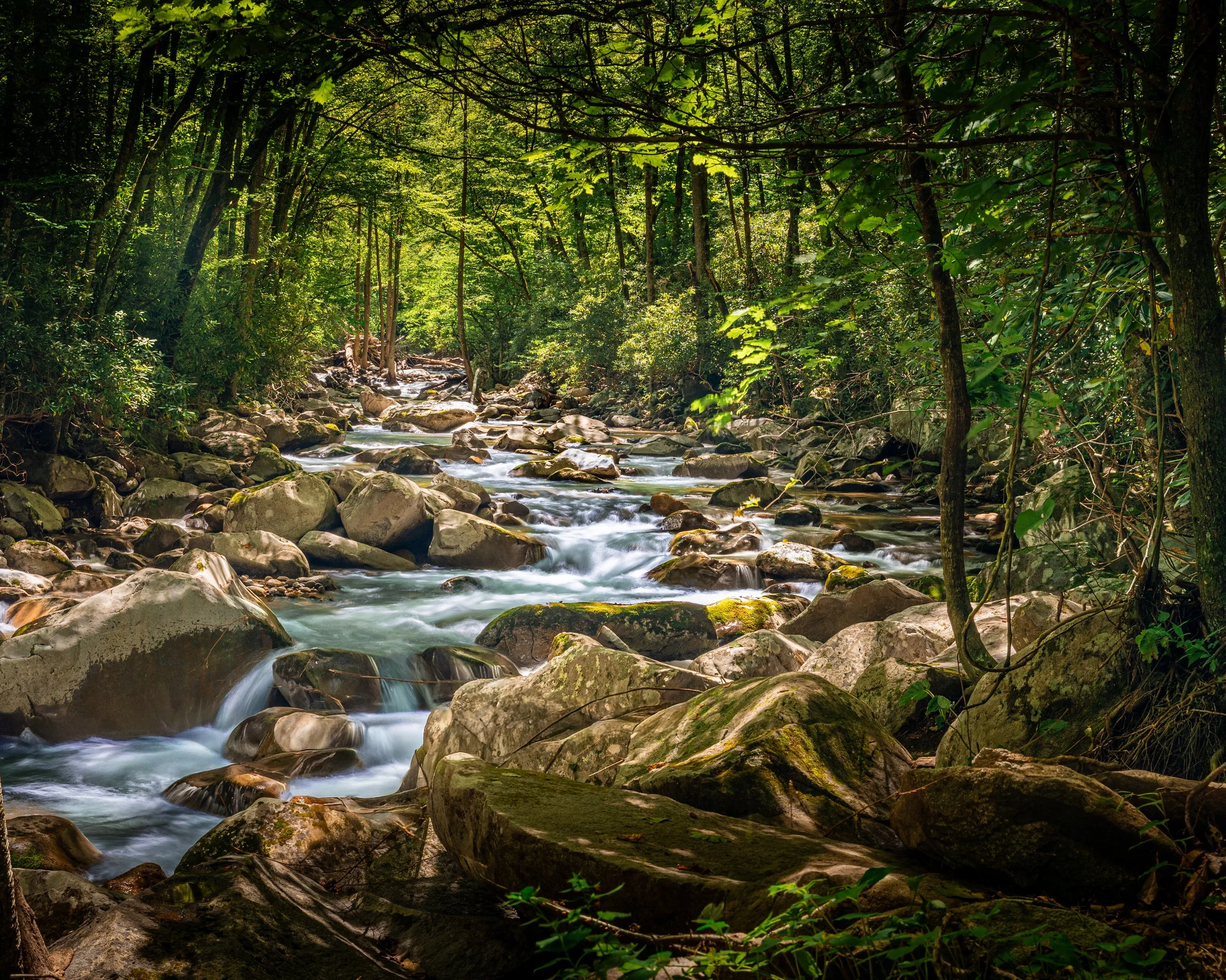_Q8A3010 The Cathedrals Smokey Mountains.jpg