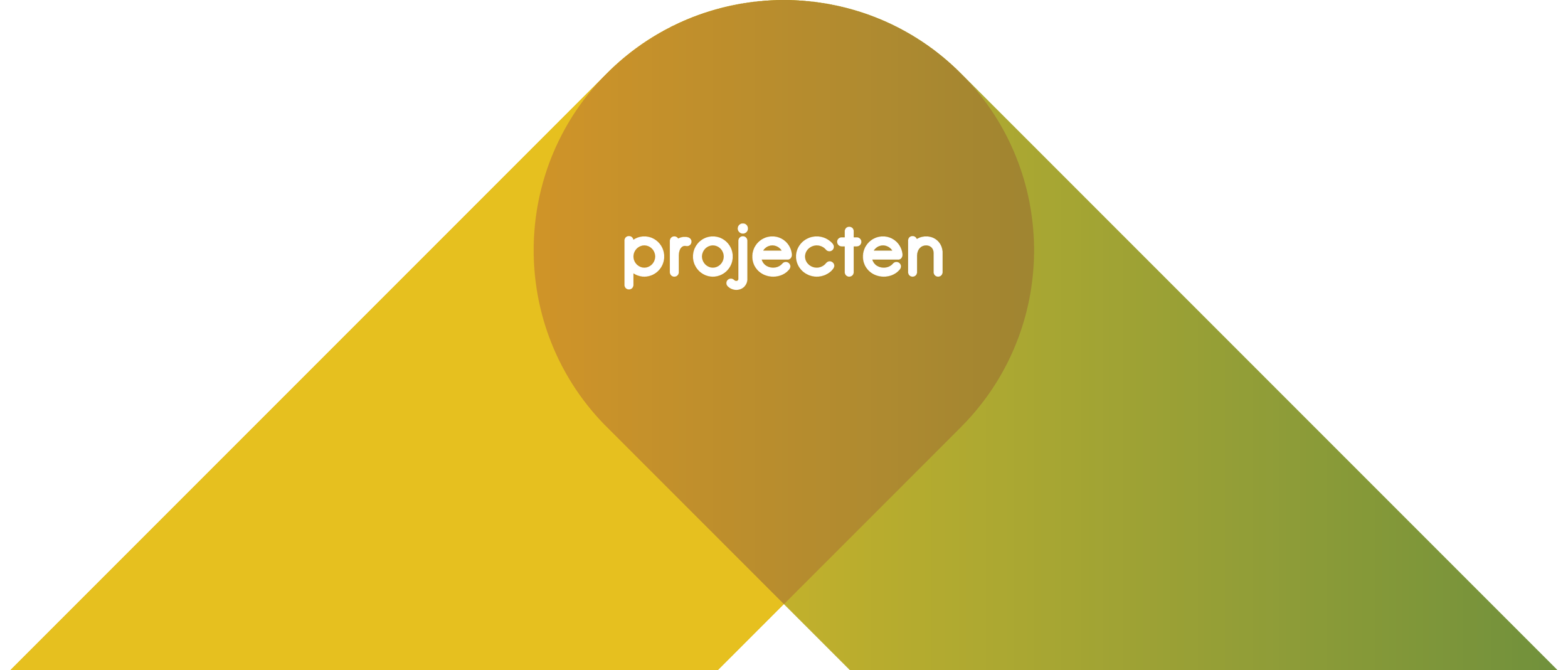 Grafiek met de woorden 'projecten' in het midden, omlijst door gekleurde creatieve vormen in zwart, geel, groen en wit.