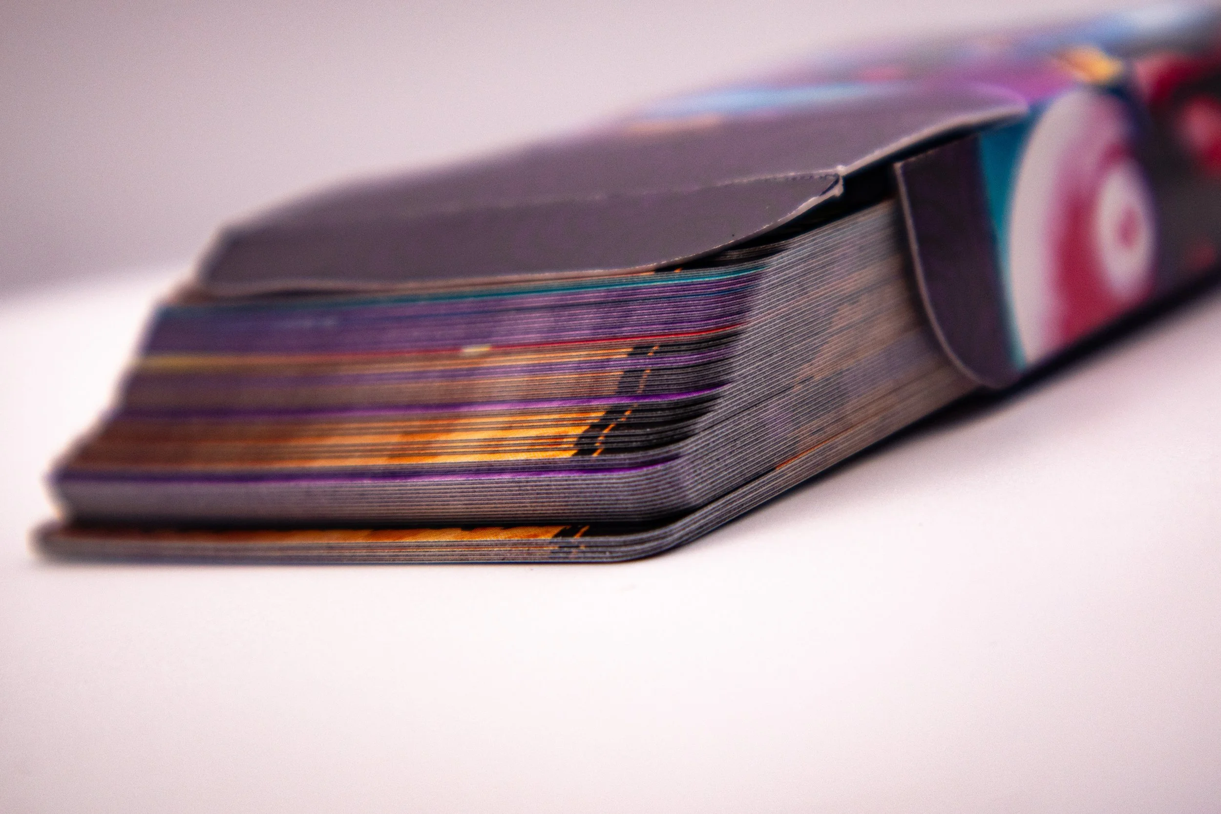 2026-01-22 16.03.jpg