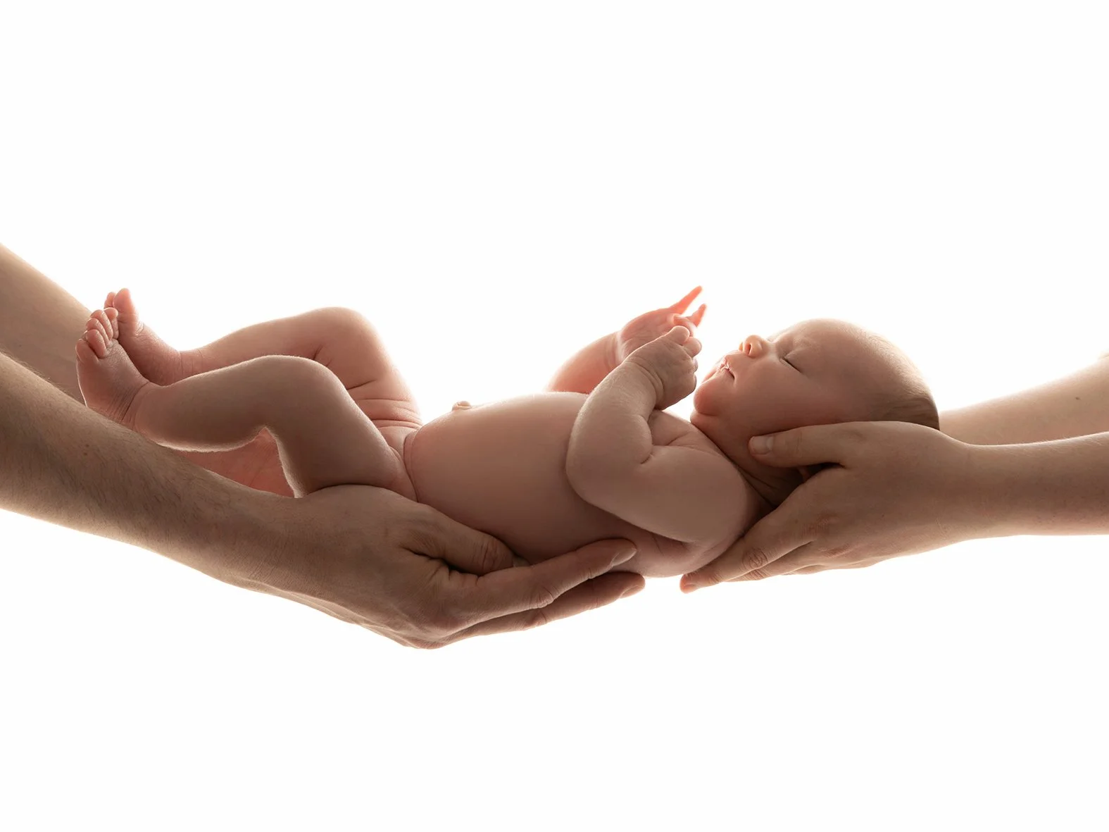Zwei Hände halten einen neugeborenen Baby, das im Zentrum liegt, mit einem weißen Hintergrund.