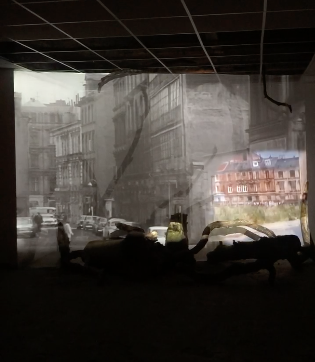 Bildschirmfoto 2023-07-27 um 17.02.11.png