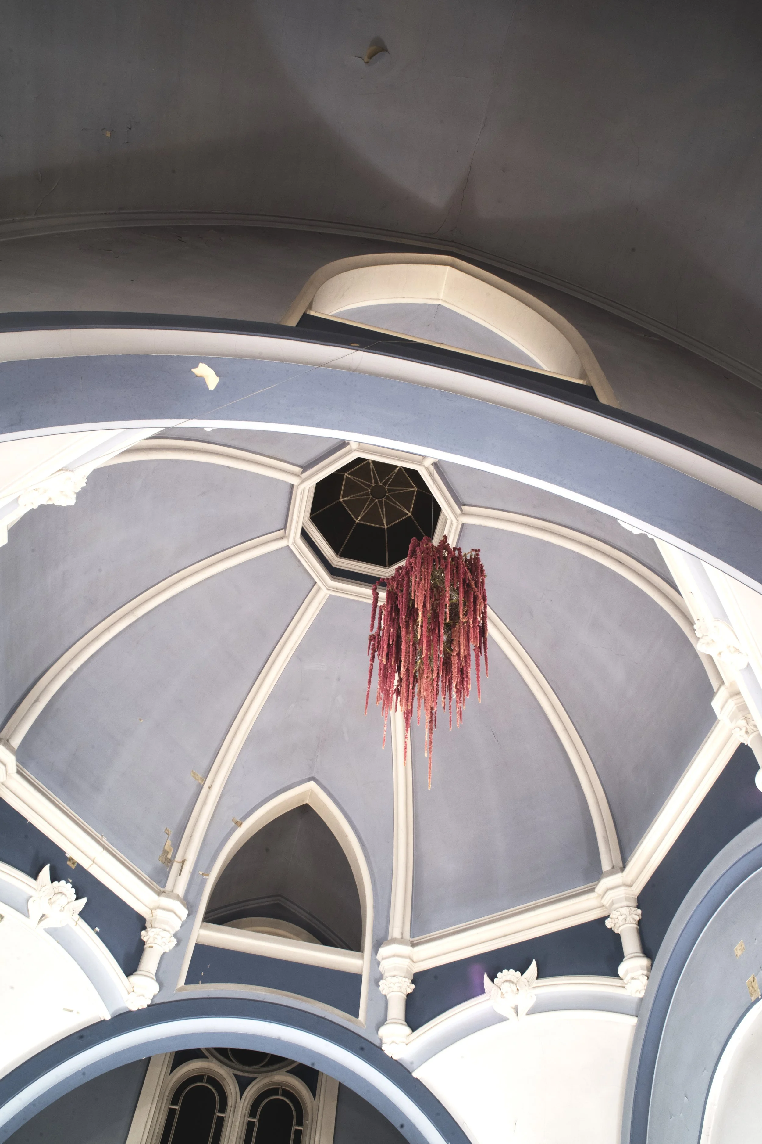 Fungi Phuong Tran Minh