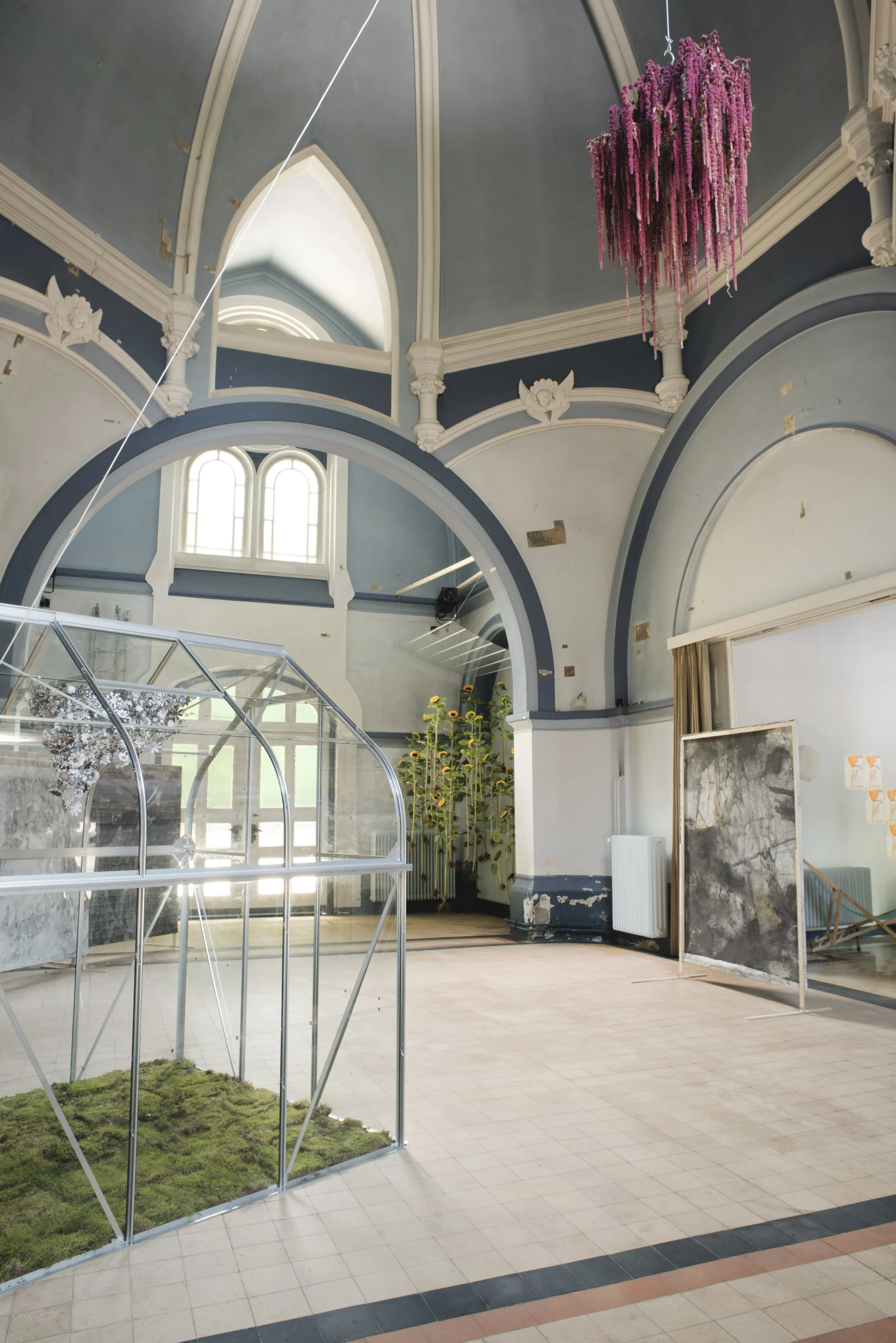 Fungi Phuong Tran Minh