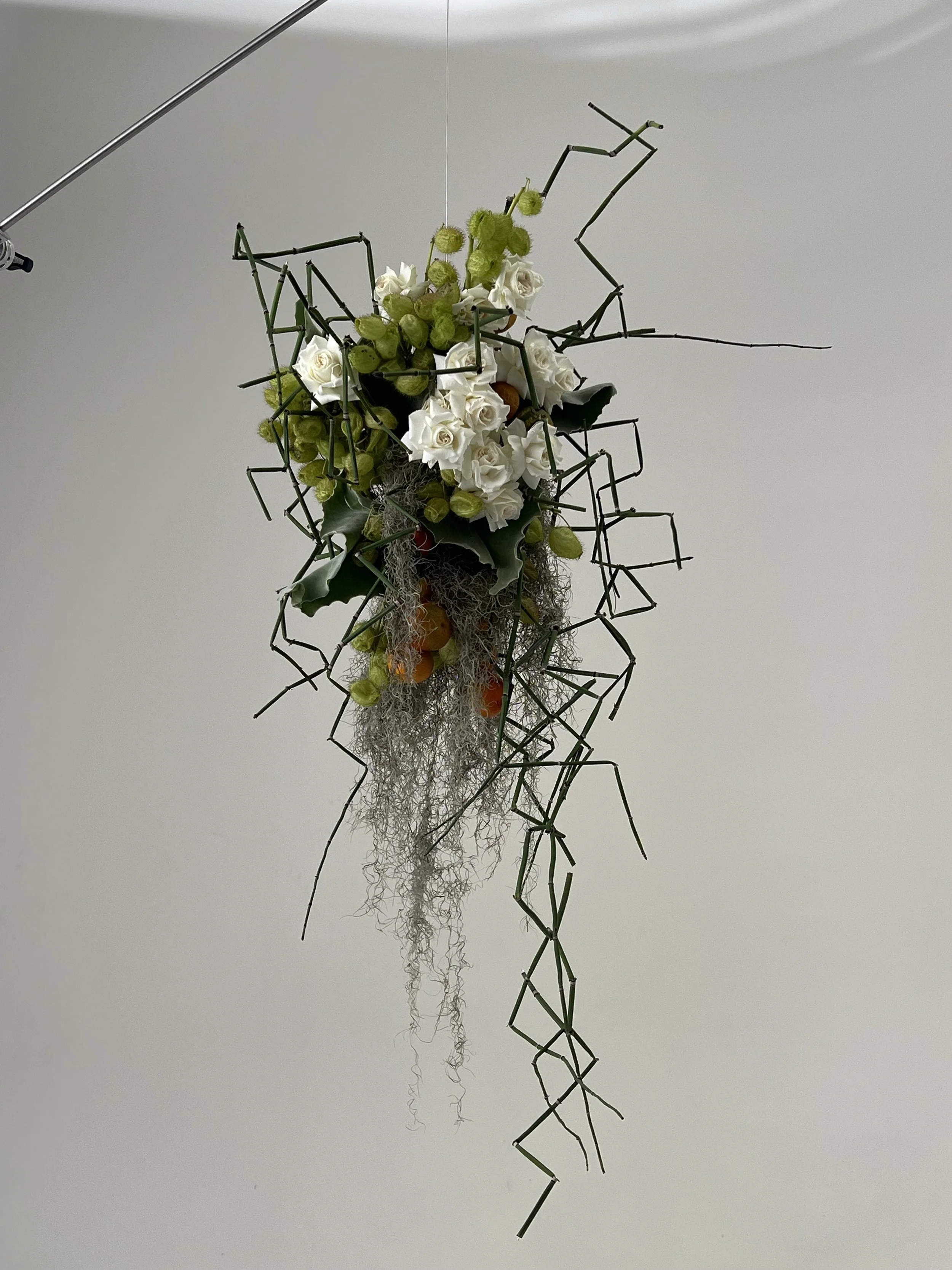 TUSH magazine, assisting Hamish Powell