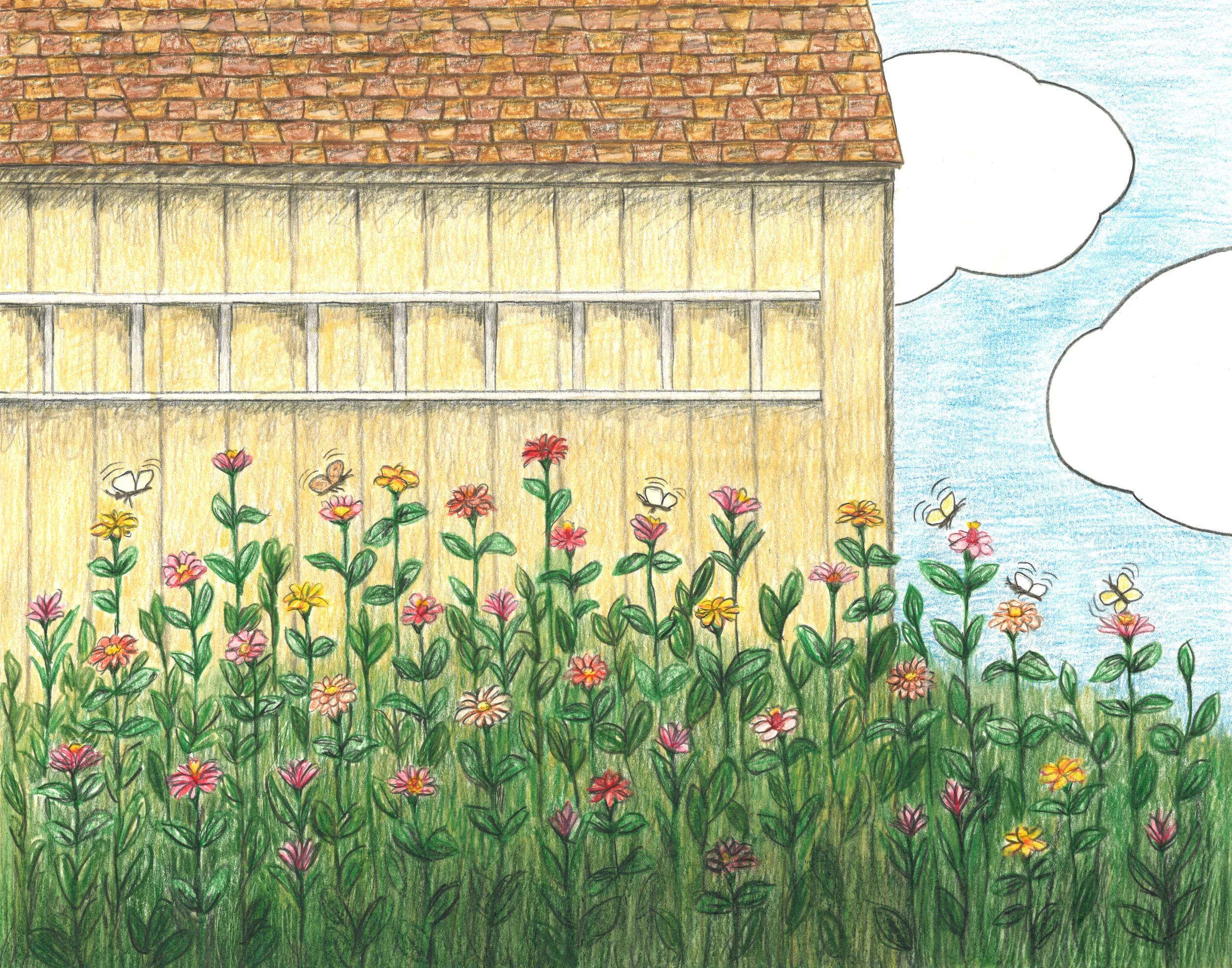 A colorful, hand-drawn image of a garden shed with colorful flowers and butterflies. Illustration for children's book, Grasshopper Garden.