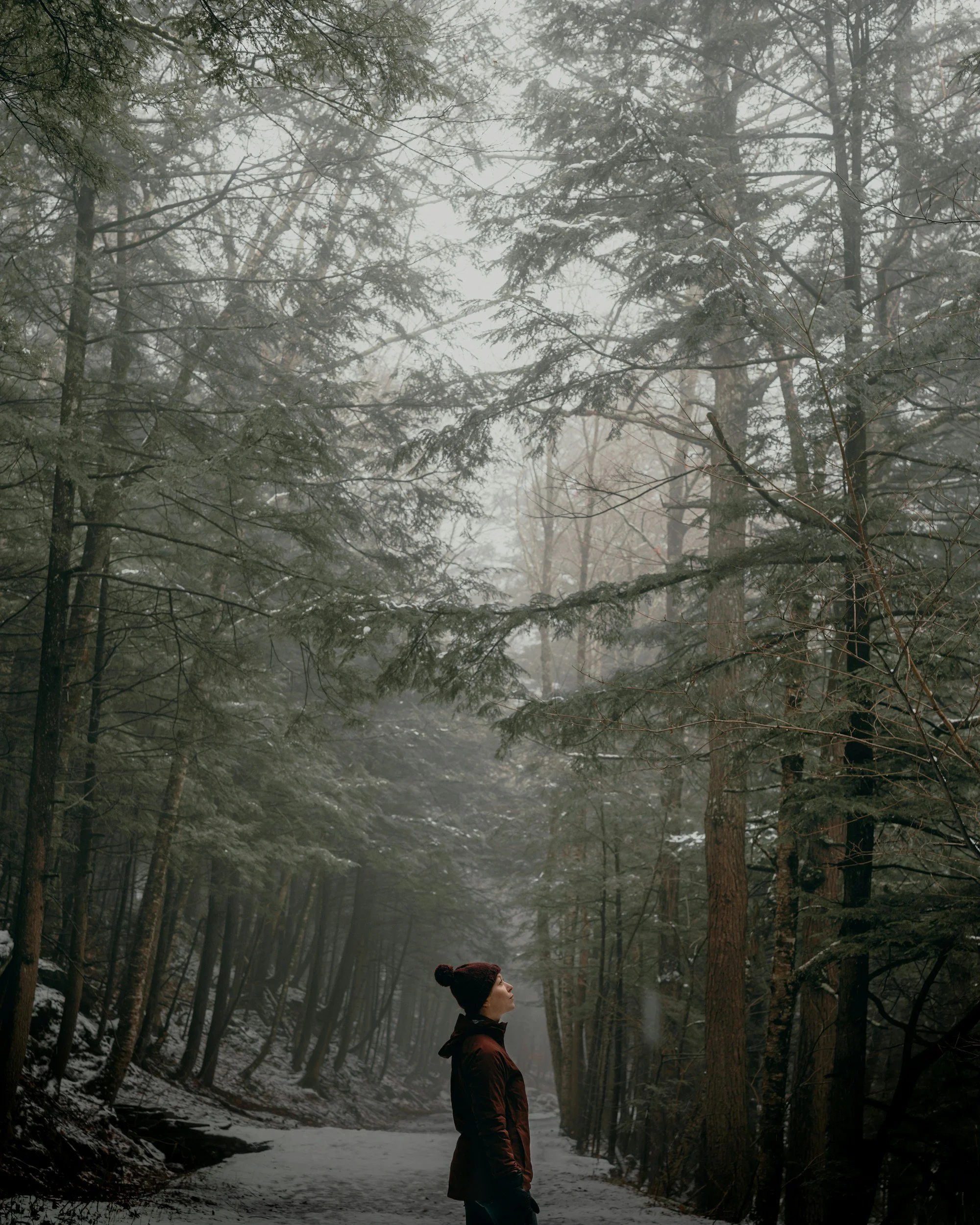 The Winter Solstice: A Midlife Invitation to Slow Down, Release, and Begin Again