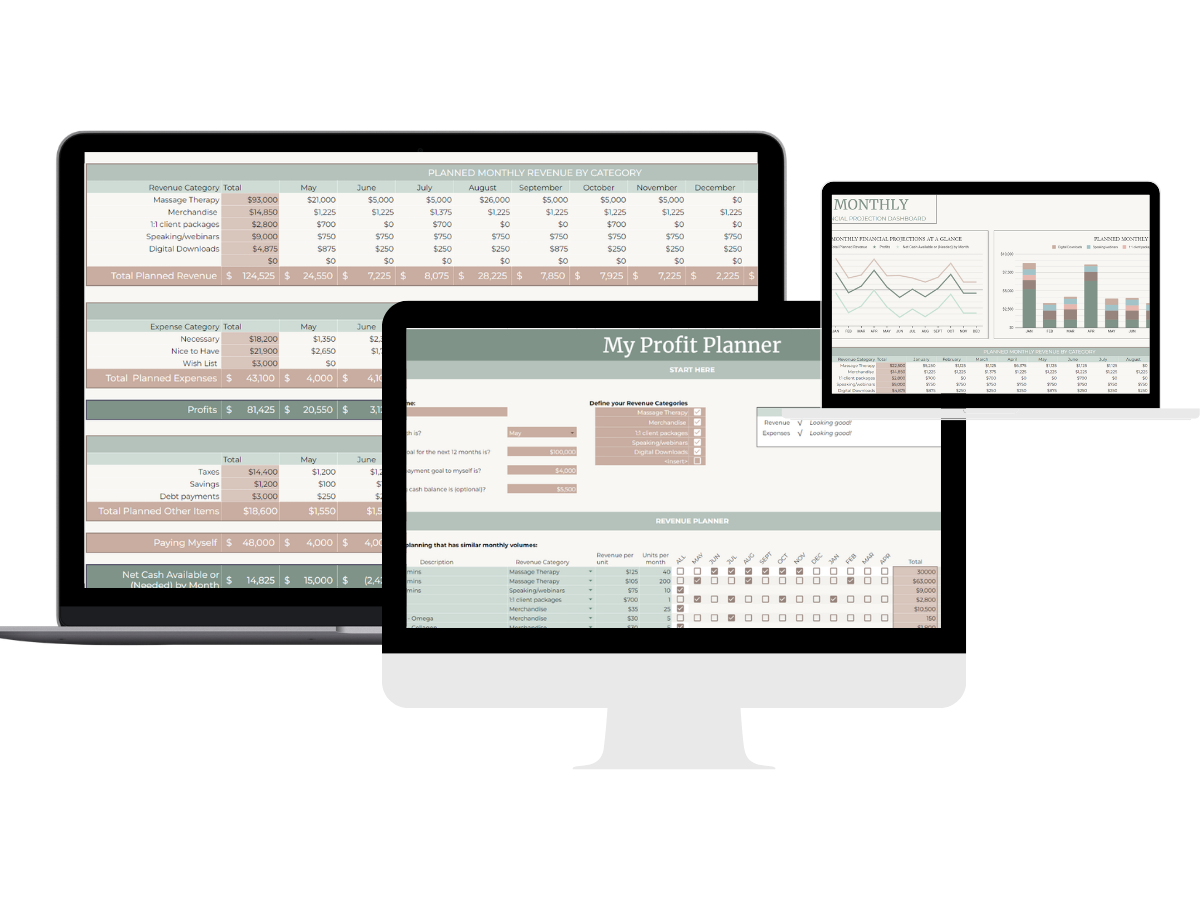 Series of computer screens displaying business and financial planning spreadsheets and dashboards.