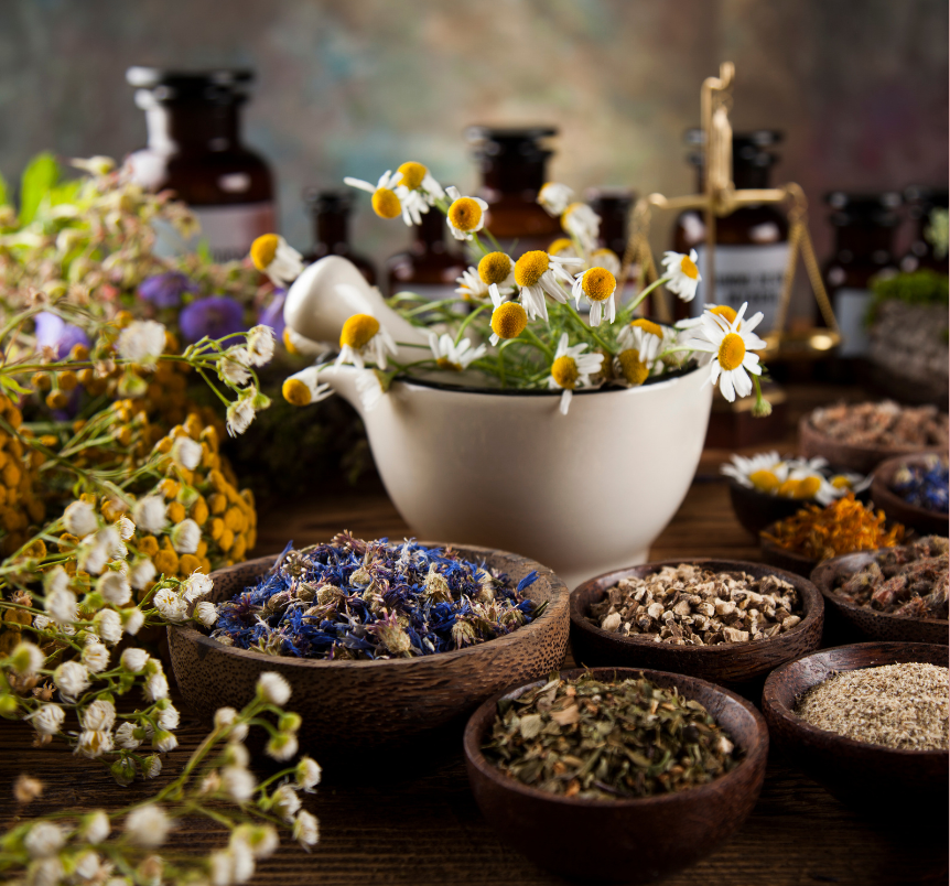 Rimedi Naturali per la Caduta dei Capelli: La Guida Scientifica su Oli Naturali, Microcircolazione e Nutrizione