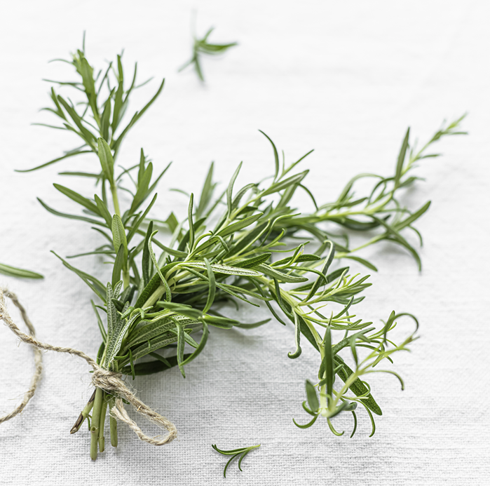 Mazzo di rosmarino fresco — rimedio naturale per la caduta  dei capelli con evidenza scientifica comparabile al minoxidil