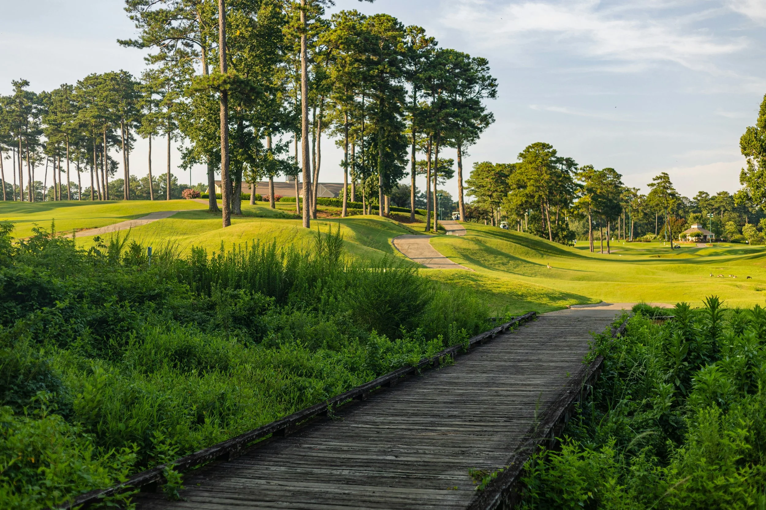 A scenic view of a golf course with lush green grass, tall trees, and a wooden walkway leading into the distance on a sunny day.