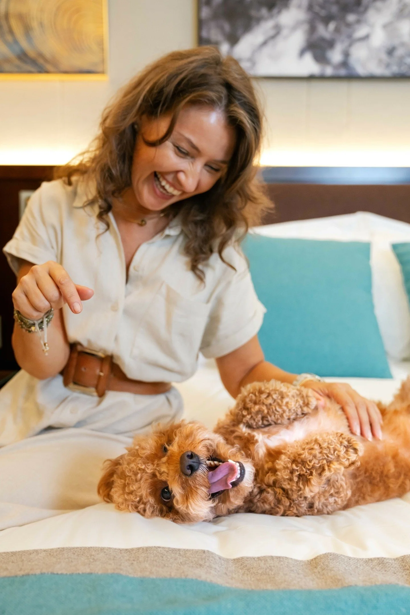 Dogs in hotel beds to ward off the Sunday Scaries. You're welcome. 

📷 Summerside Team: 
1. @ricomarcelophotography
2. @kenrightphotography
3. @ashleyoutwest