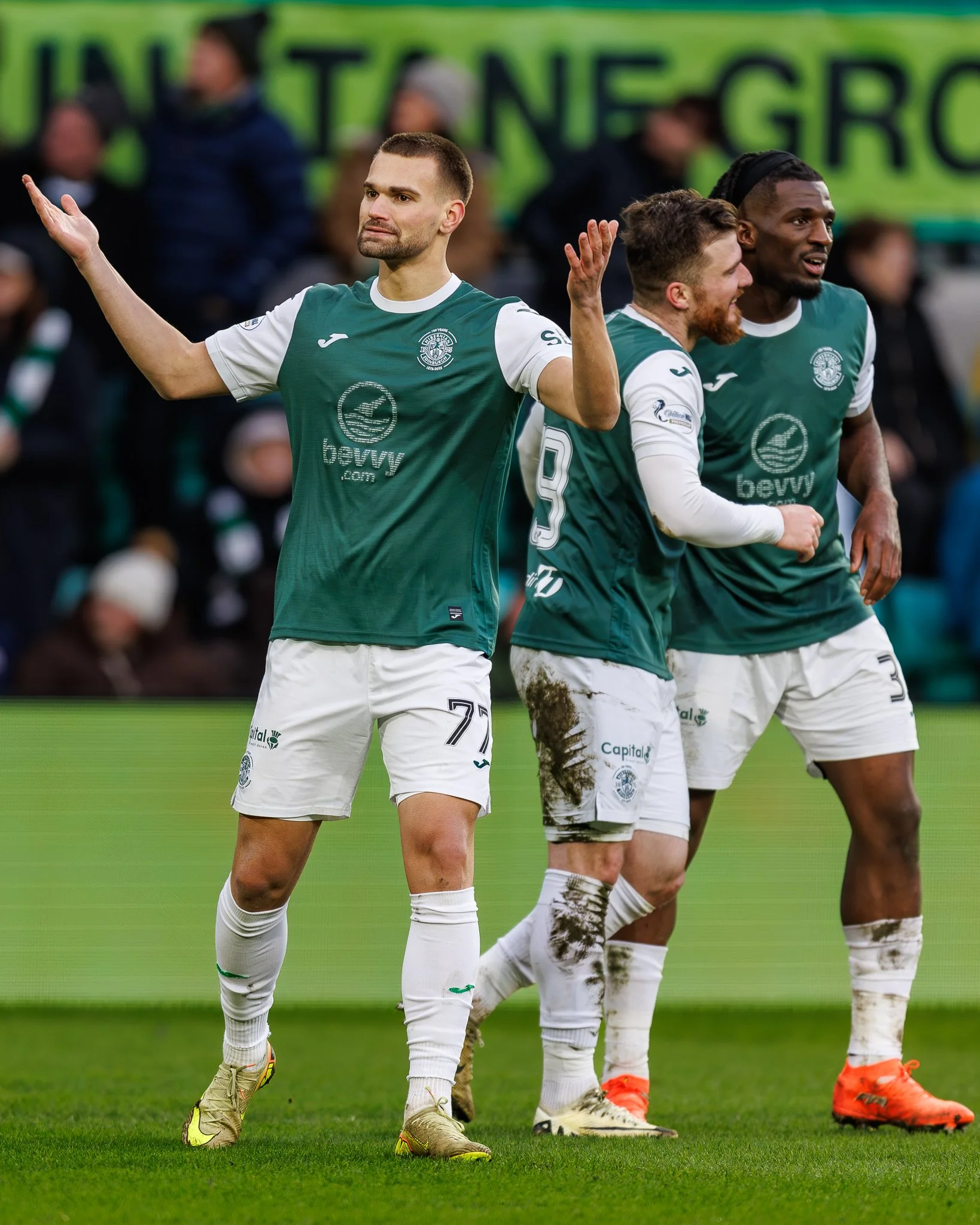 HIBVSTMweb-9.jpg
