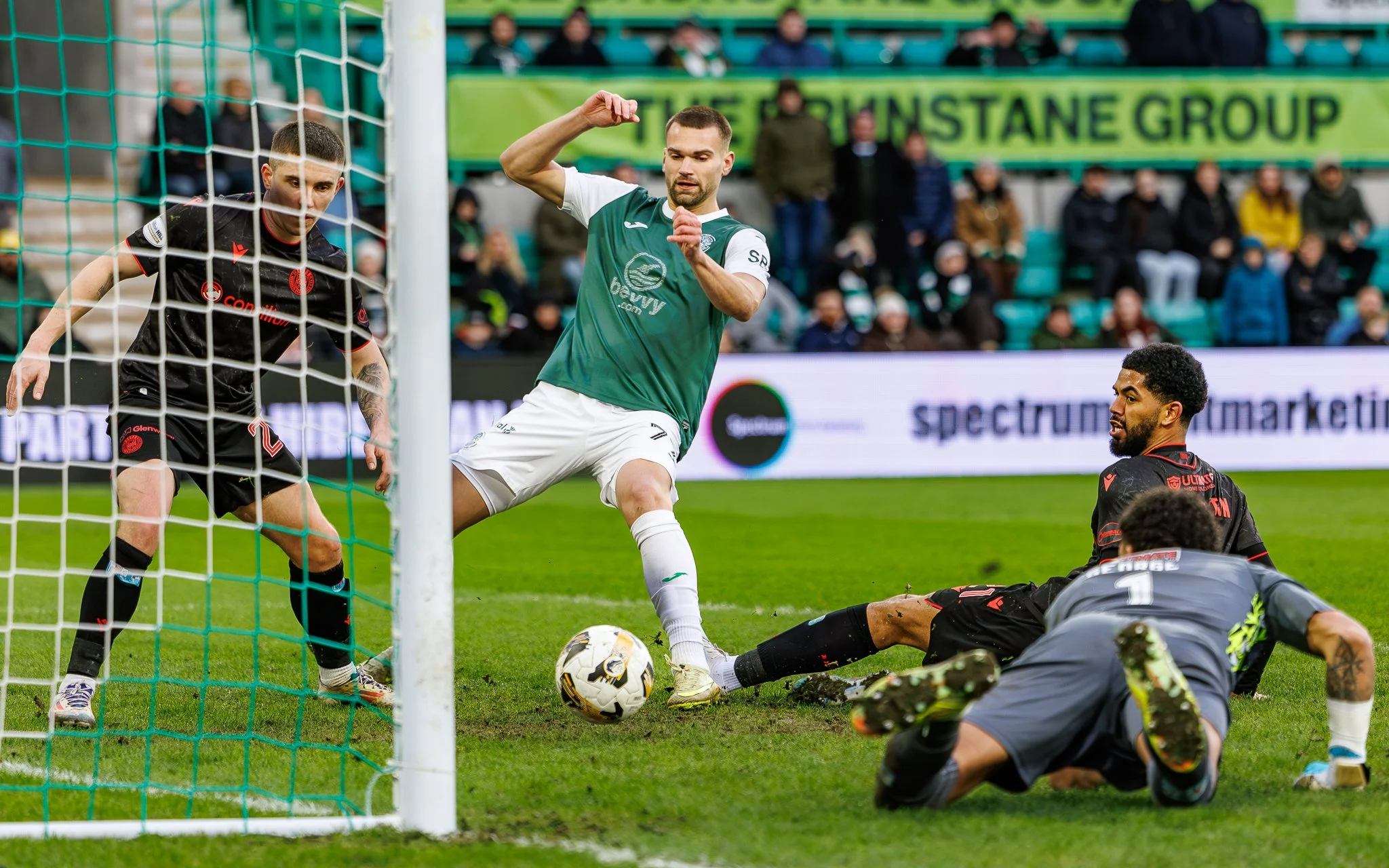HIBVSTMweb-6.jpg