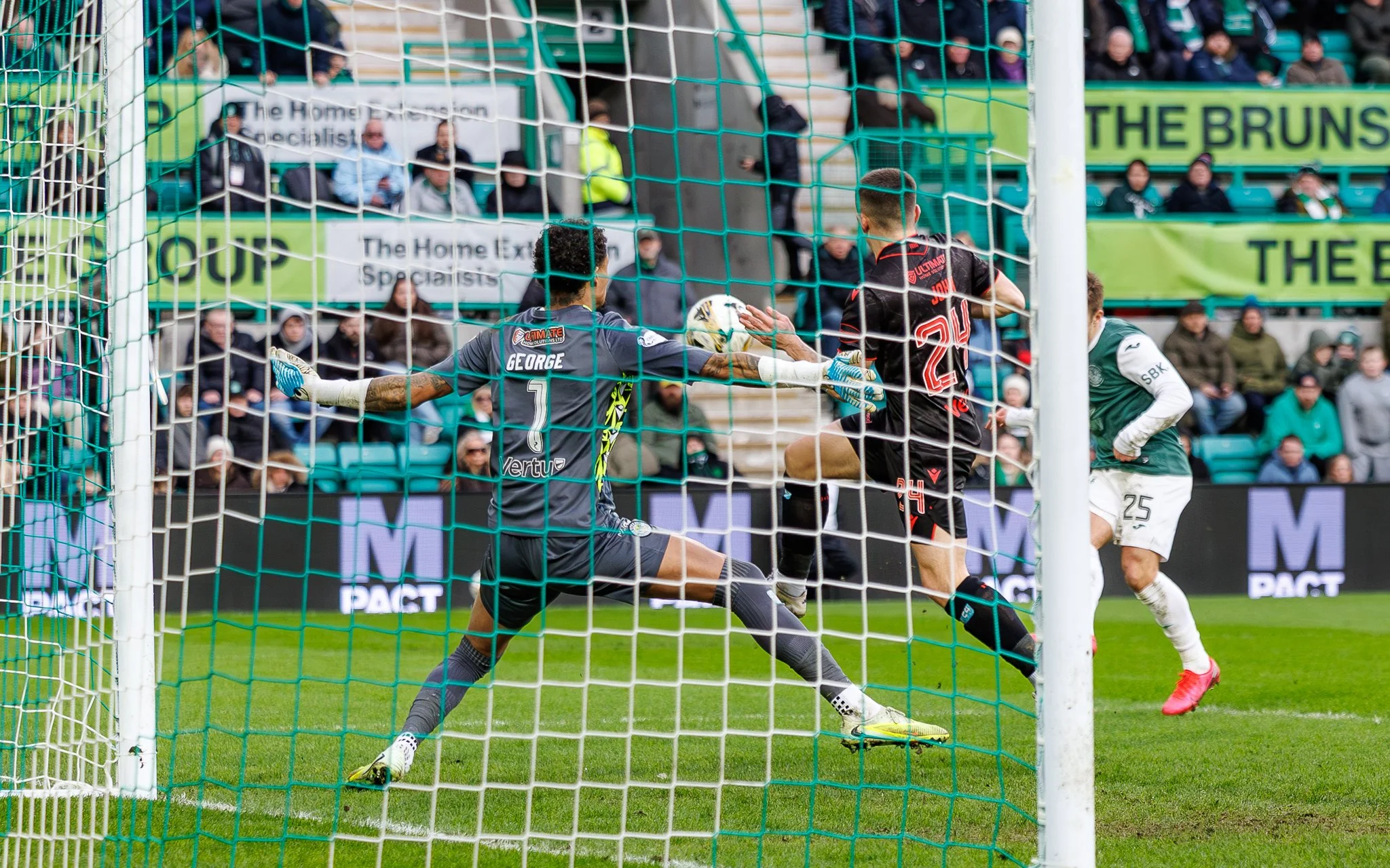 HIBVSTMweb-5.jpg