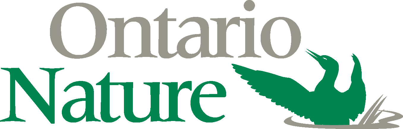 Logo for Ontario Nature featuring a green heron in front of the words Ontario Nature in gray and green text.