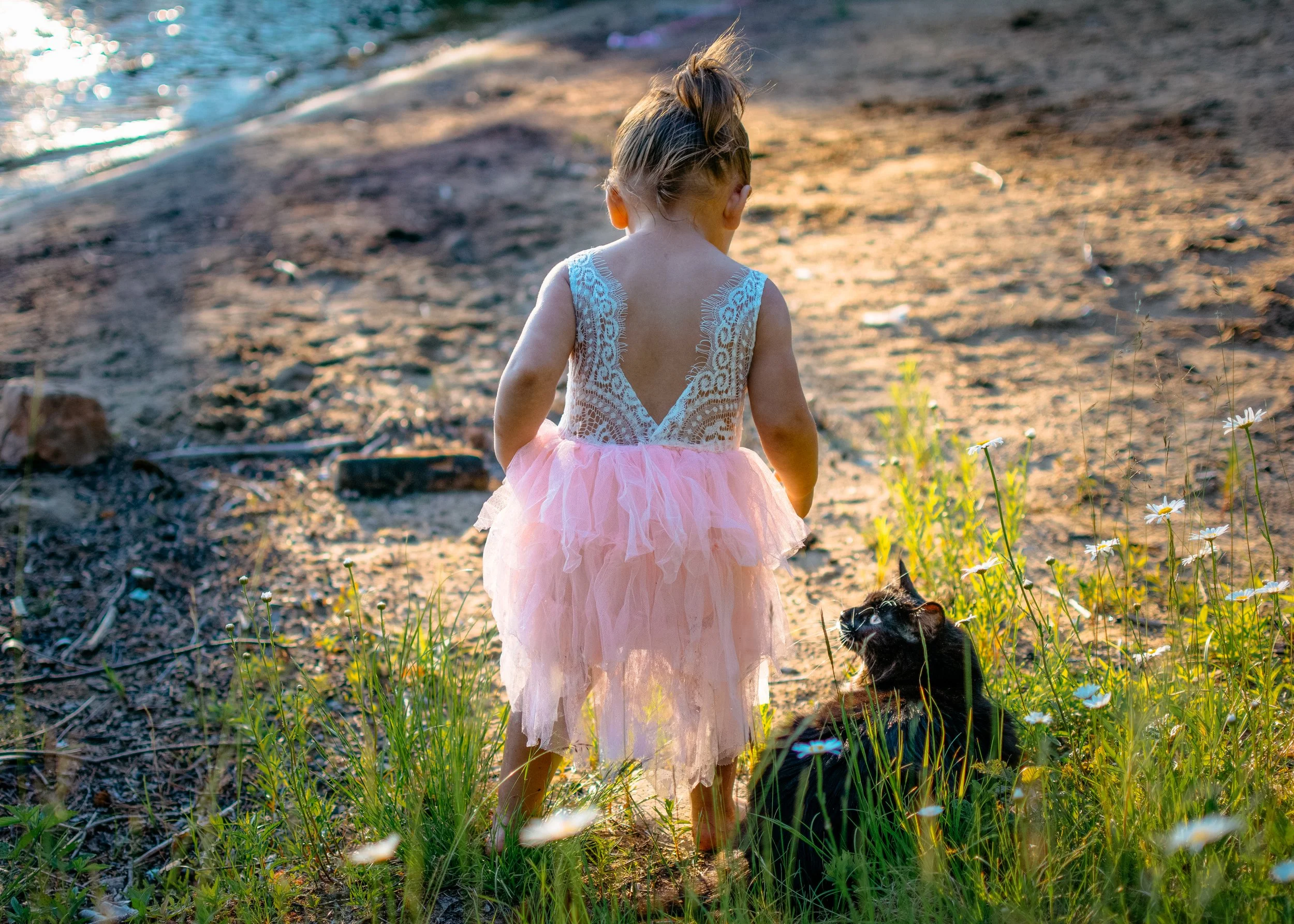 A young girl wearing a pink tutu dress with a lacy top is walking barefoot on a sandy beach, with a black cat sitting among green grass and daisies nearby. The girl's hair is tied up in a ponytail, and the scene is illuminated by warm sunlight.