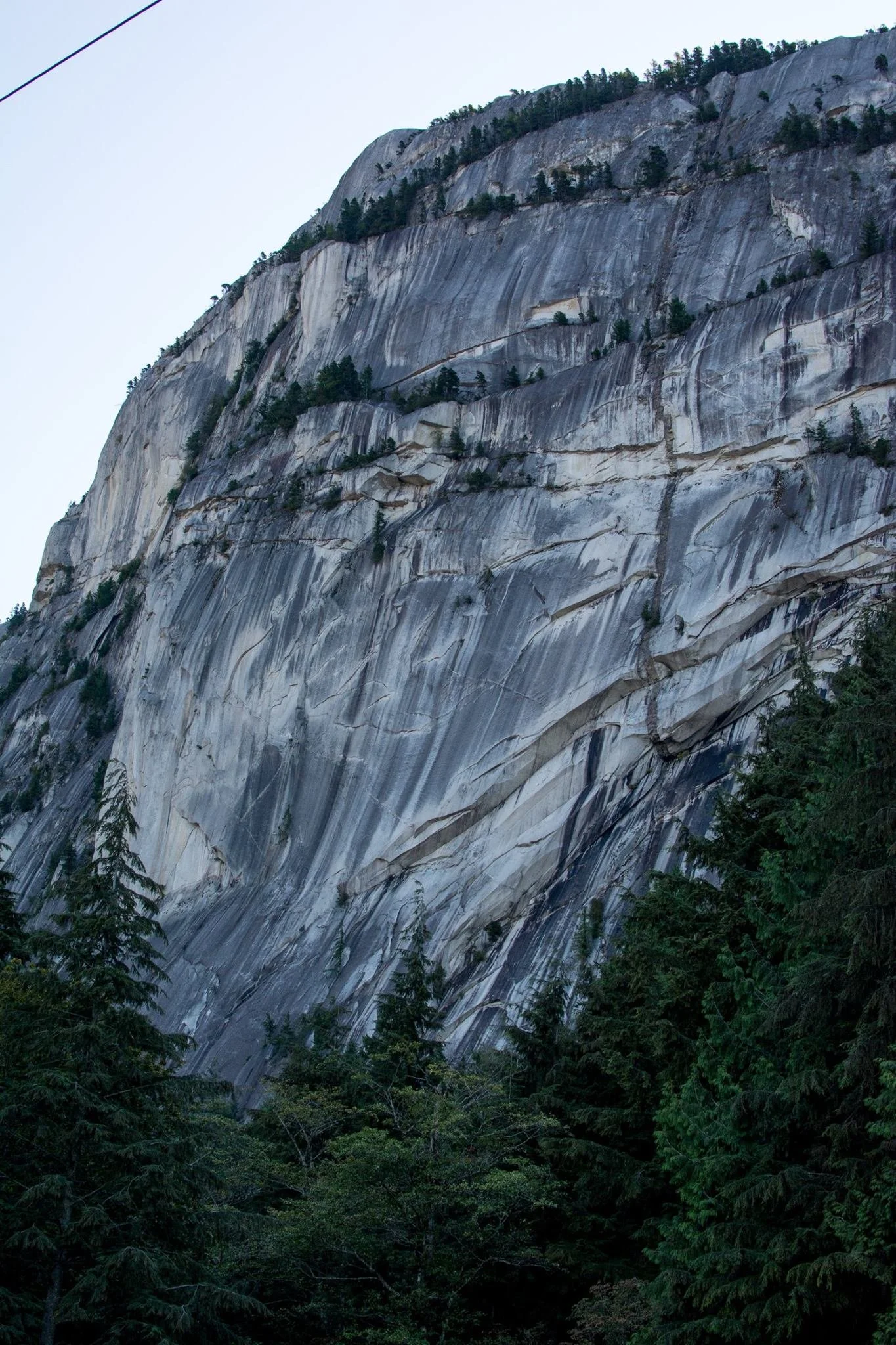 A large granite mountain with visible cracks and sparse trees on its surface, framed by green pine trees at the base.