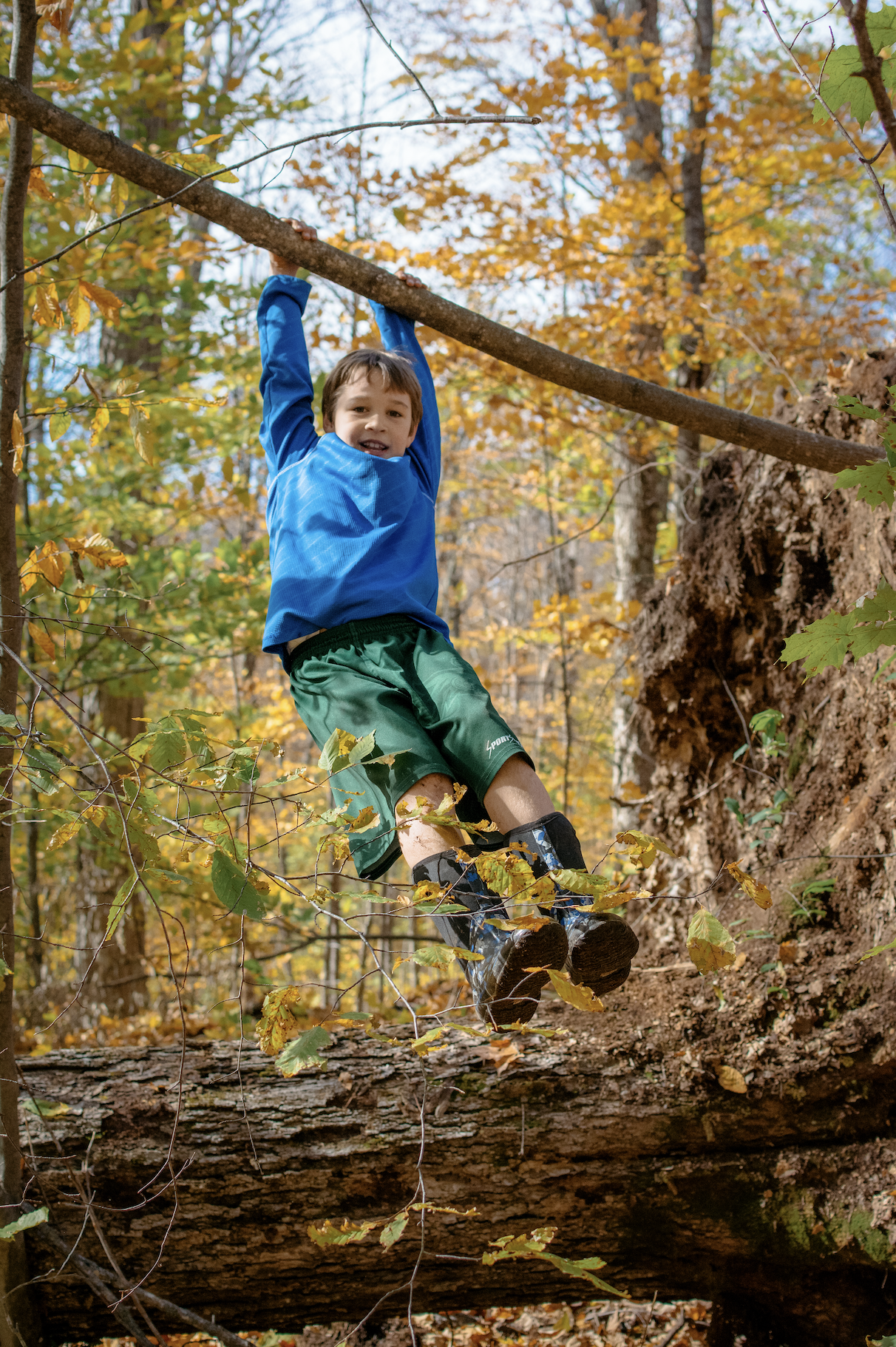 A young boy wearing a blue jacket, green shorts, and rain boots is hanging from a tree branch in a forest with fall foliage.