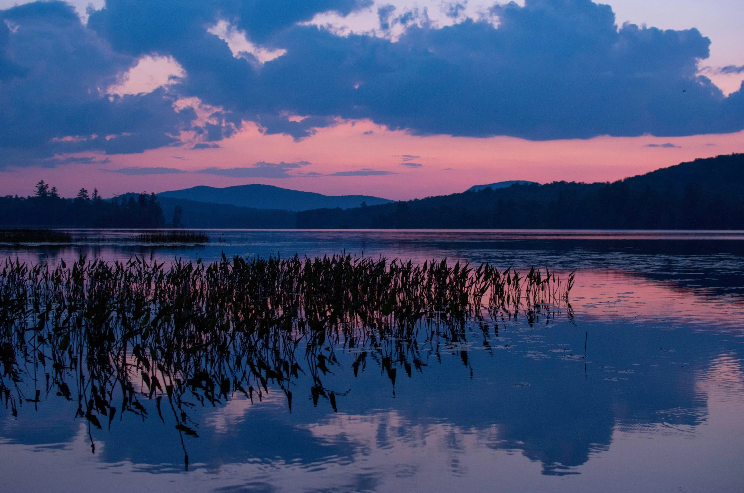Still image of a calm lake during sunset with pink and purple hues in the sky, silhouetted reeds in the foreground, and distant mountains reflecting on the water.