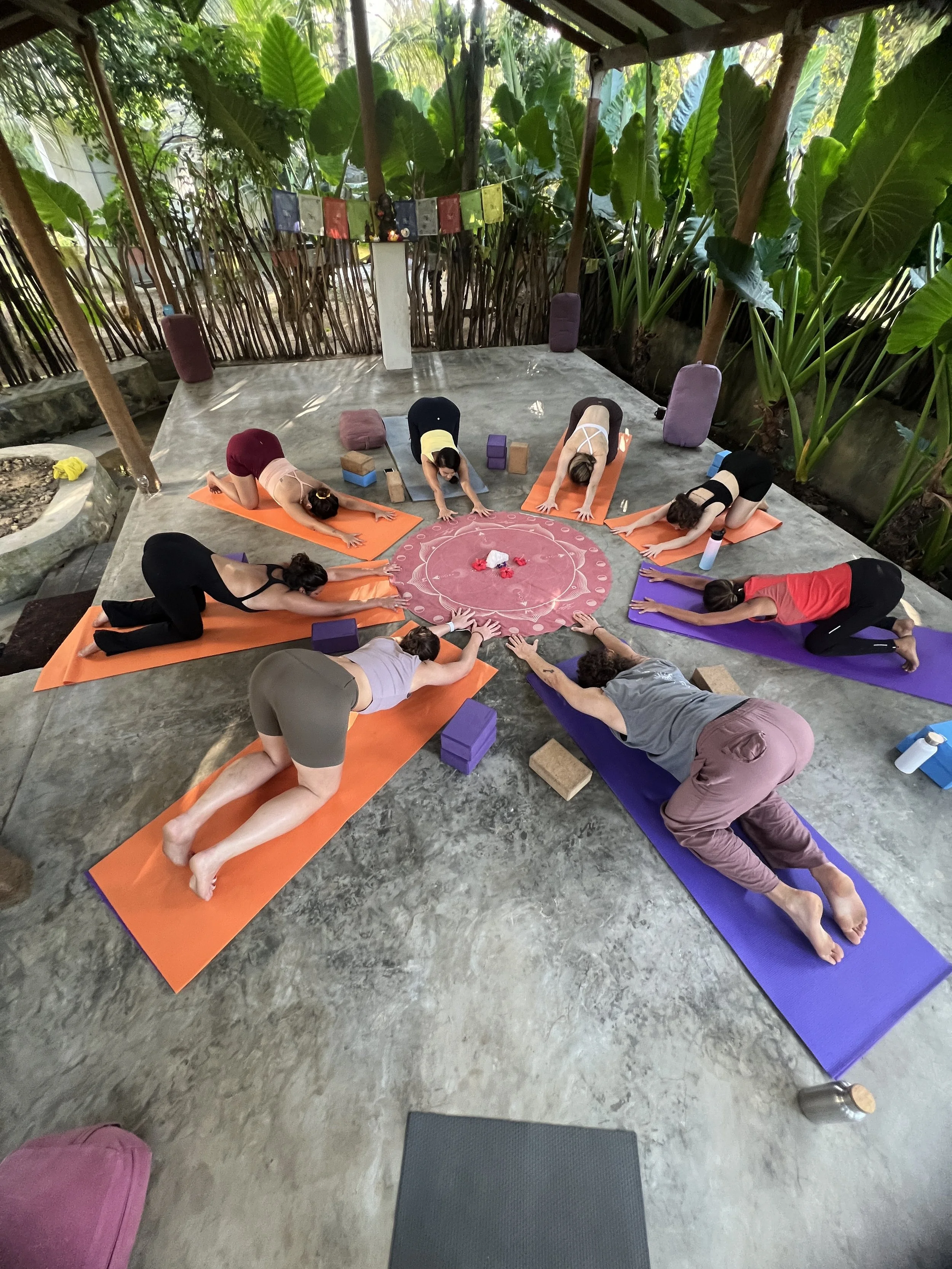 somatic functional movement and yoga session for posture and core resilience in Amsterdam or Utrecht