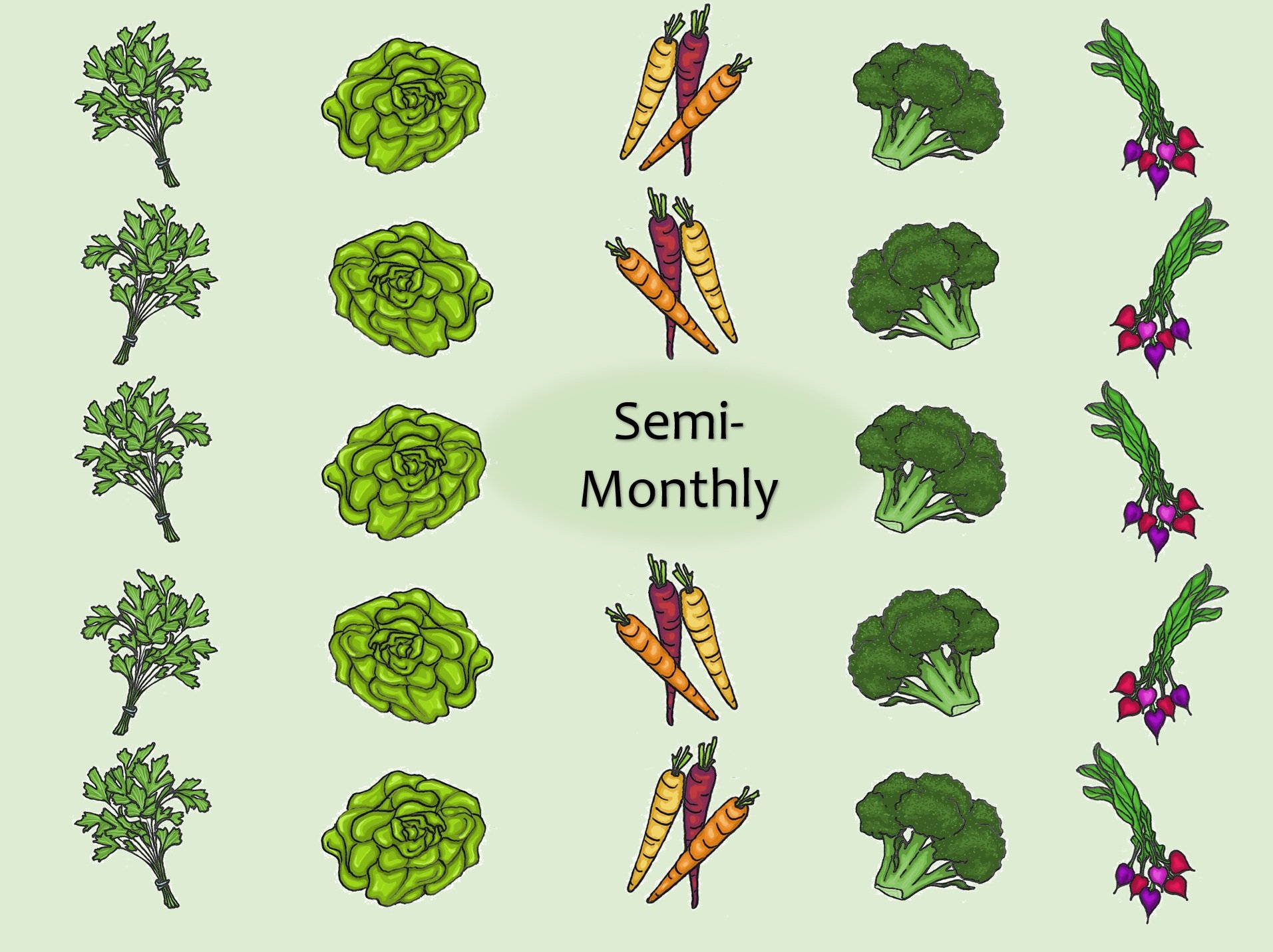 Semi-monthly Connection Box (8 boxes)