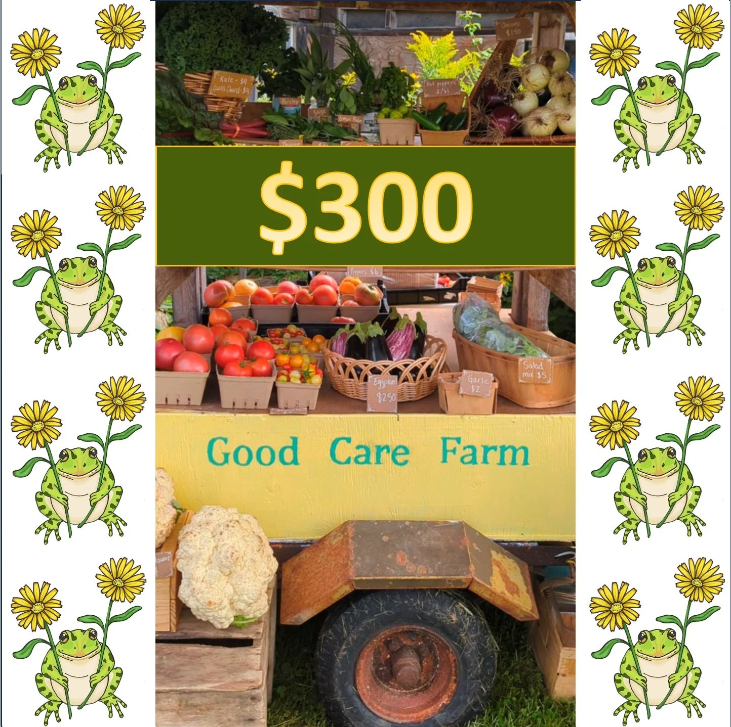 $300 Care-free Card