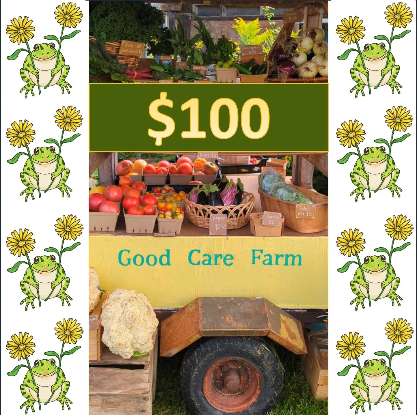$100 Care-free Card