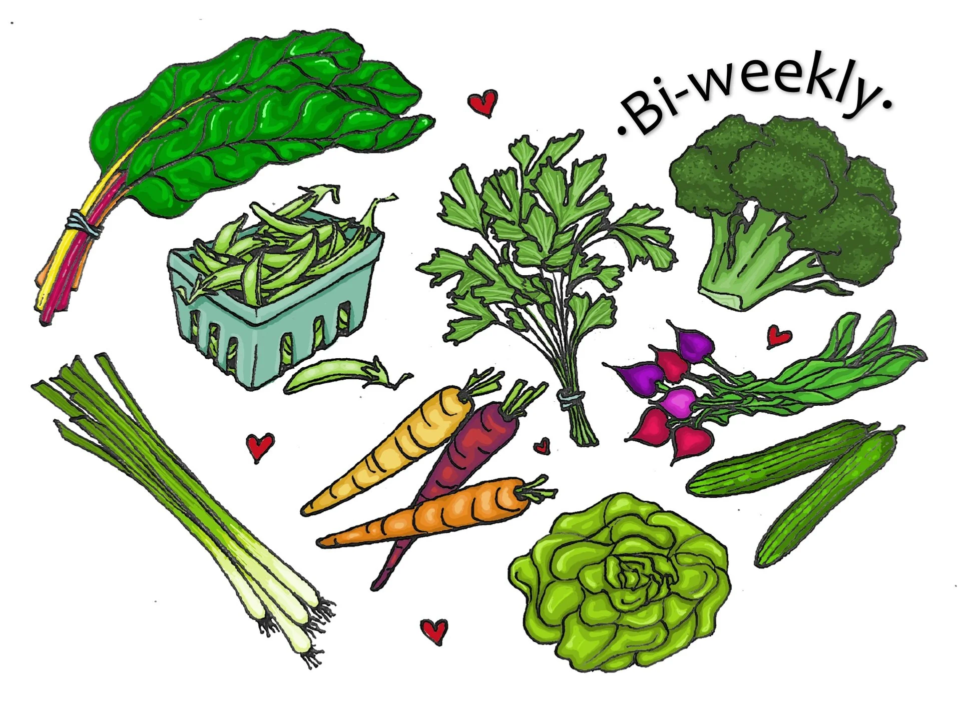 Large box - bi-weekly - landscape.jpg