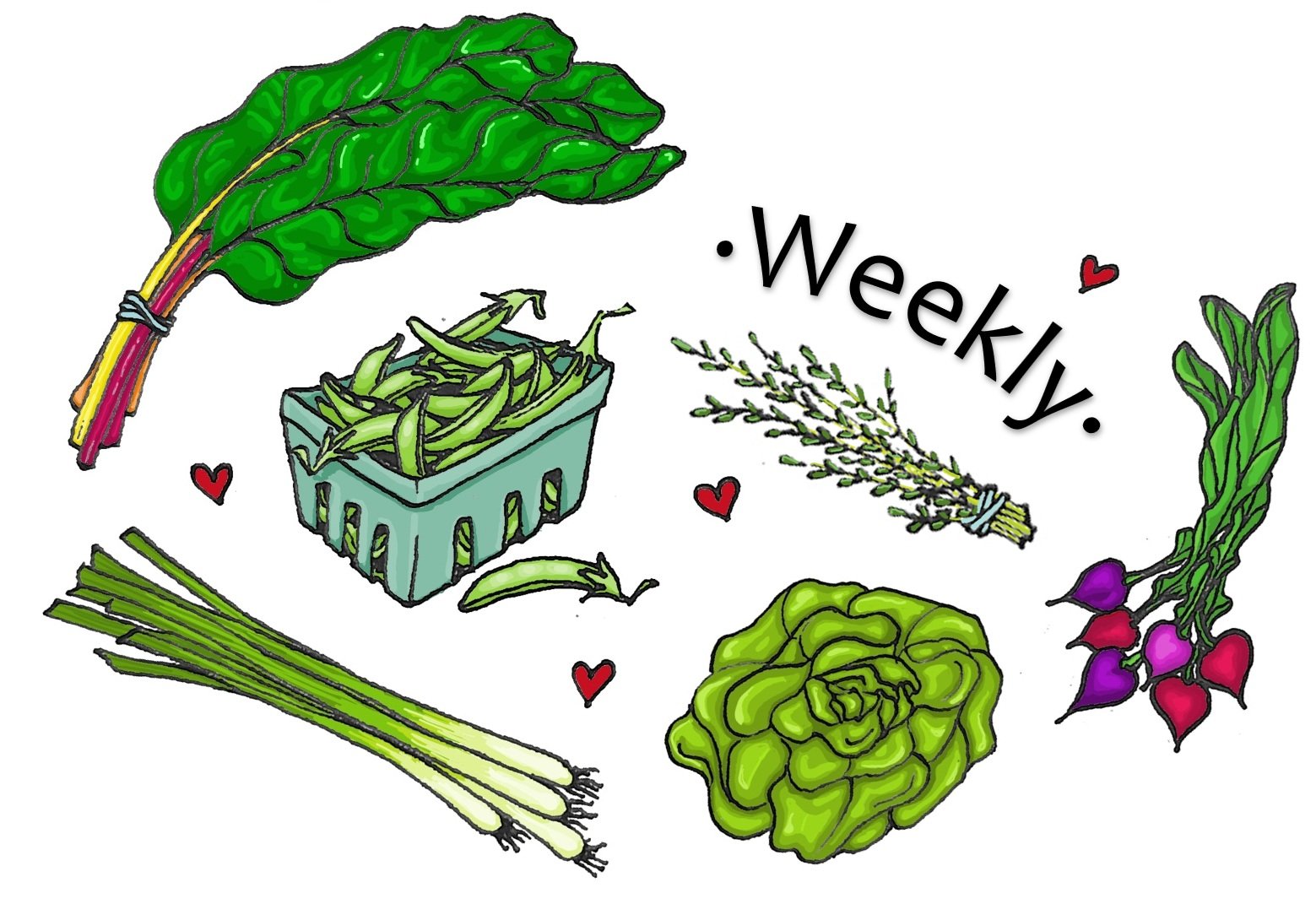 Small Box - Weekly - Landscape.jpg