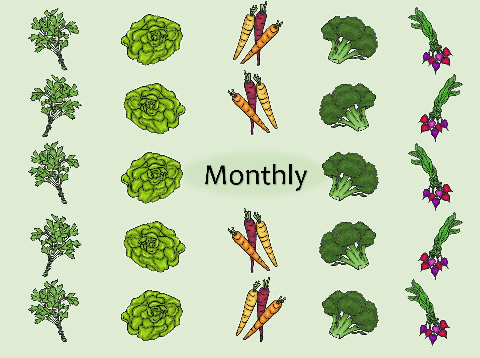 Monthly Connection Box (4 boxes)