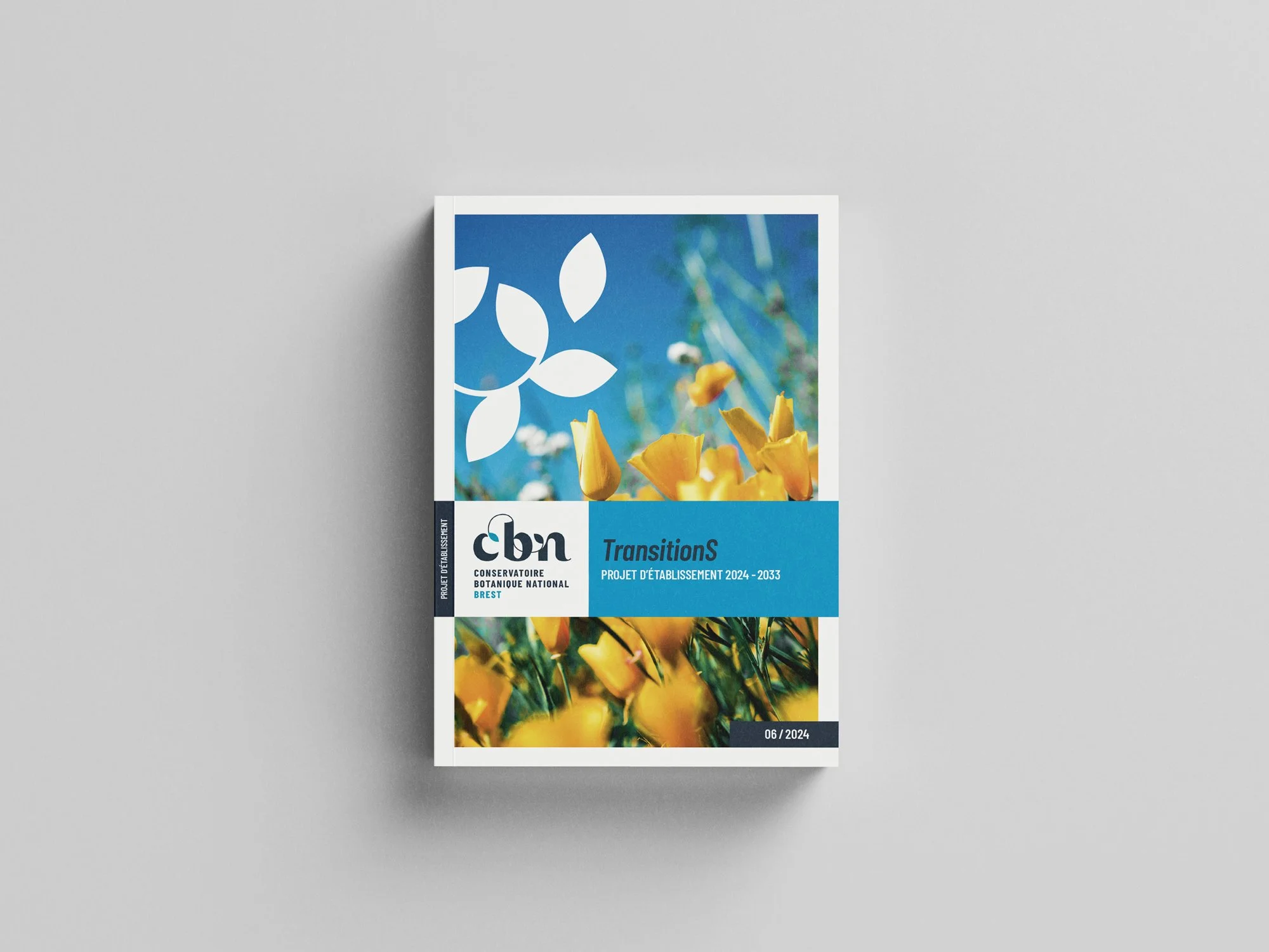 transitions_softcover.jpg