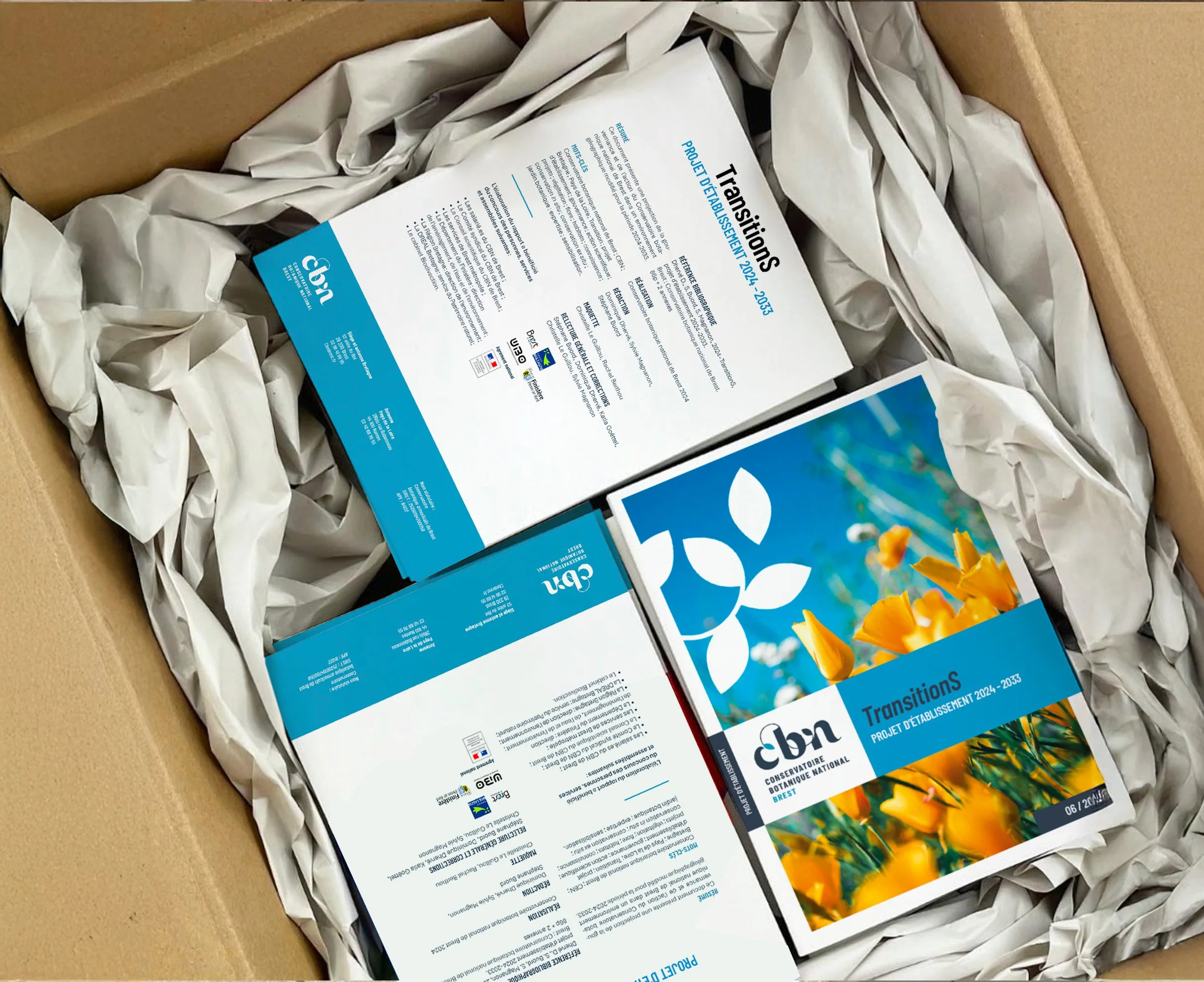 Past perspectives, future outlooks.