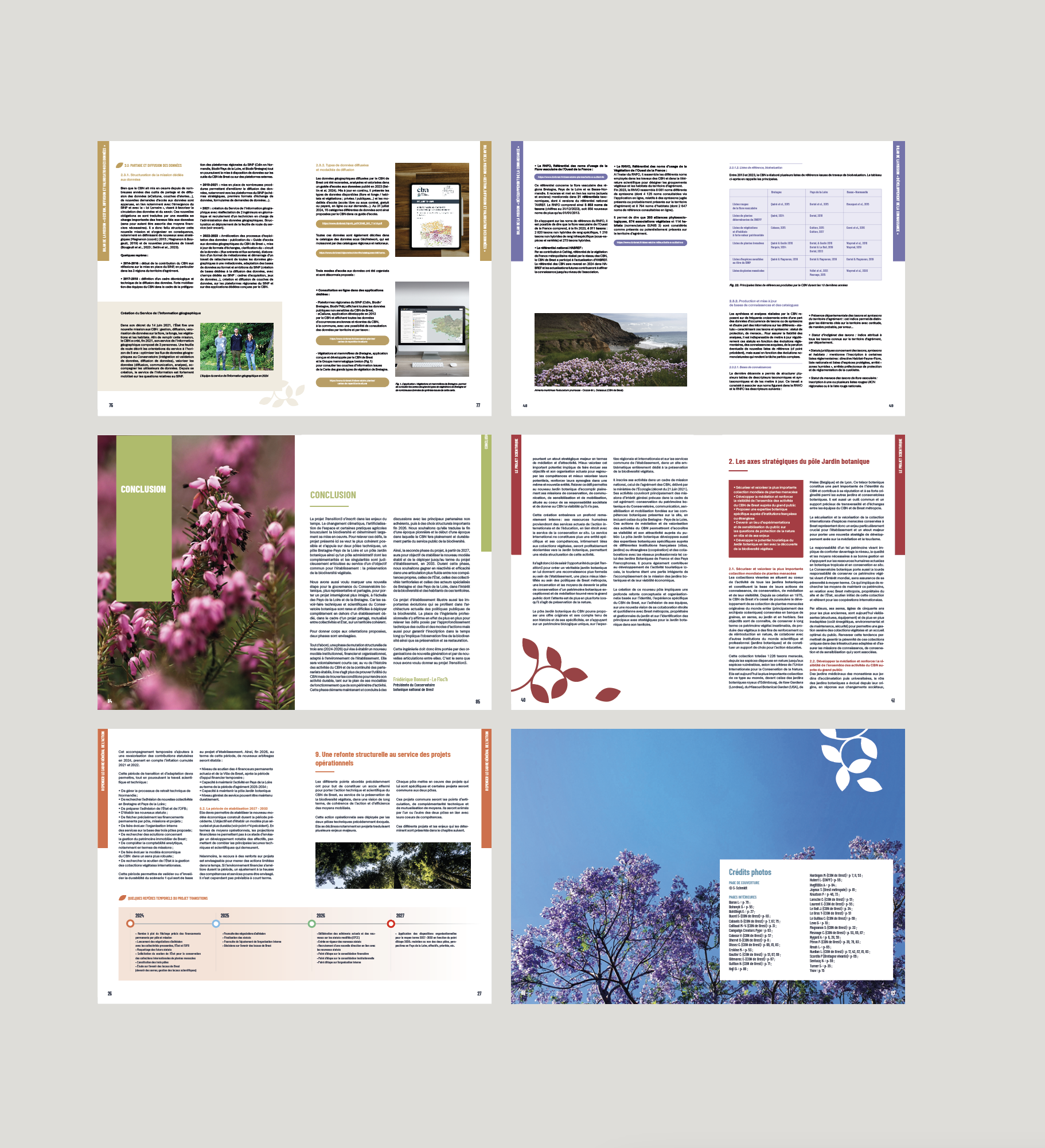 Capture d’écran 2025-11-06 à 12.22.44.png