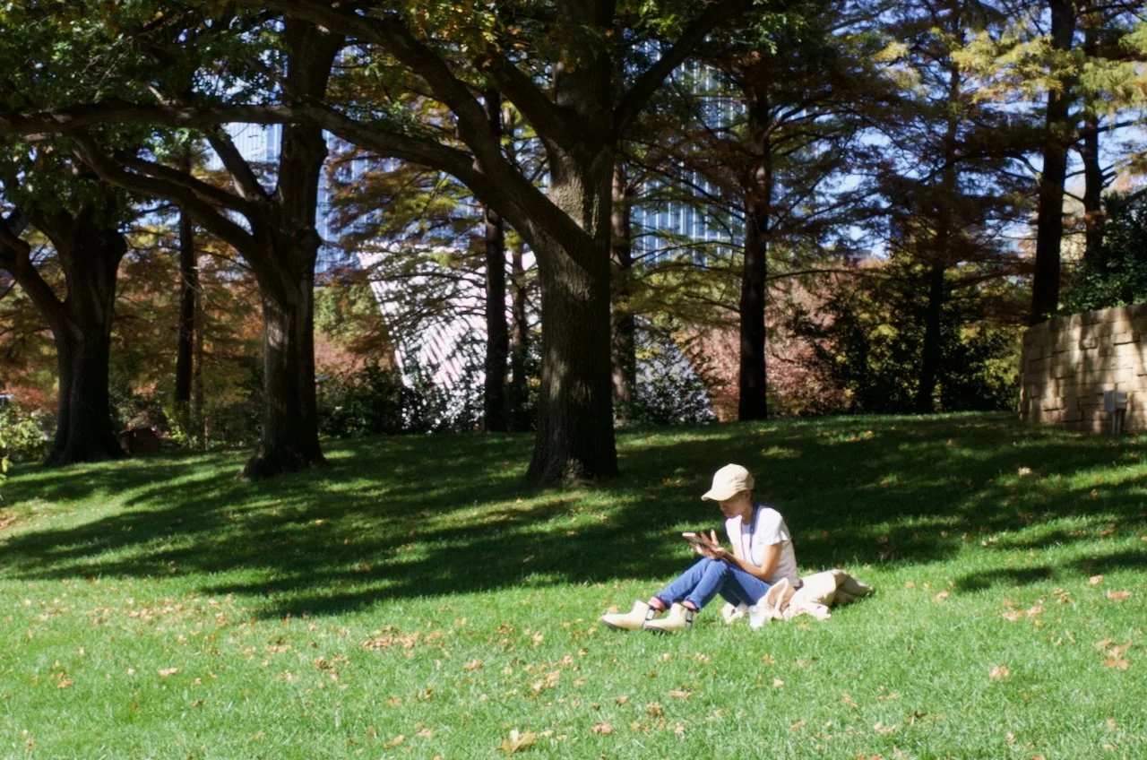 A person sitting on the grass in a park, using a mobile phone, with trees in the background and sunlight filtering through the leaves.