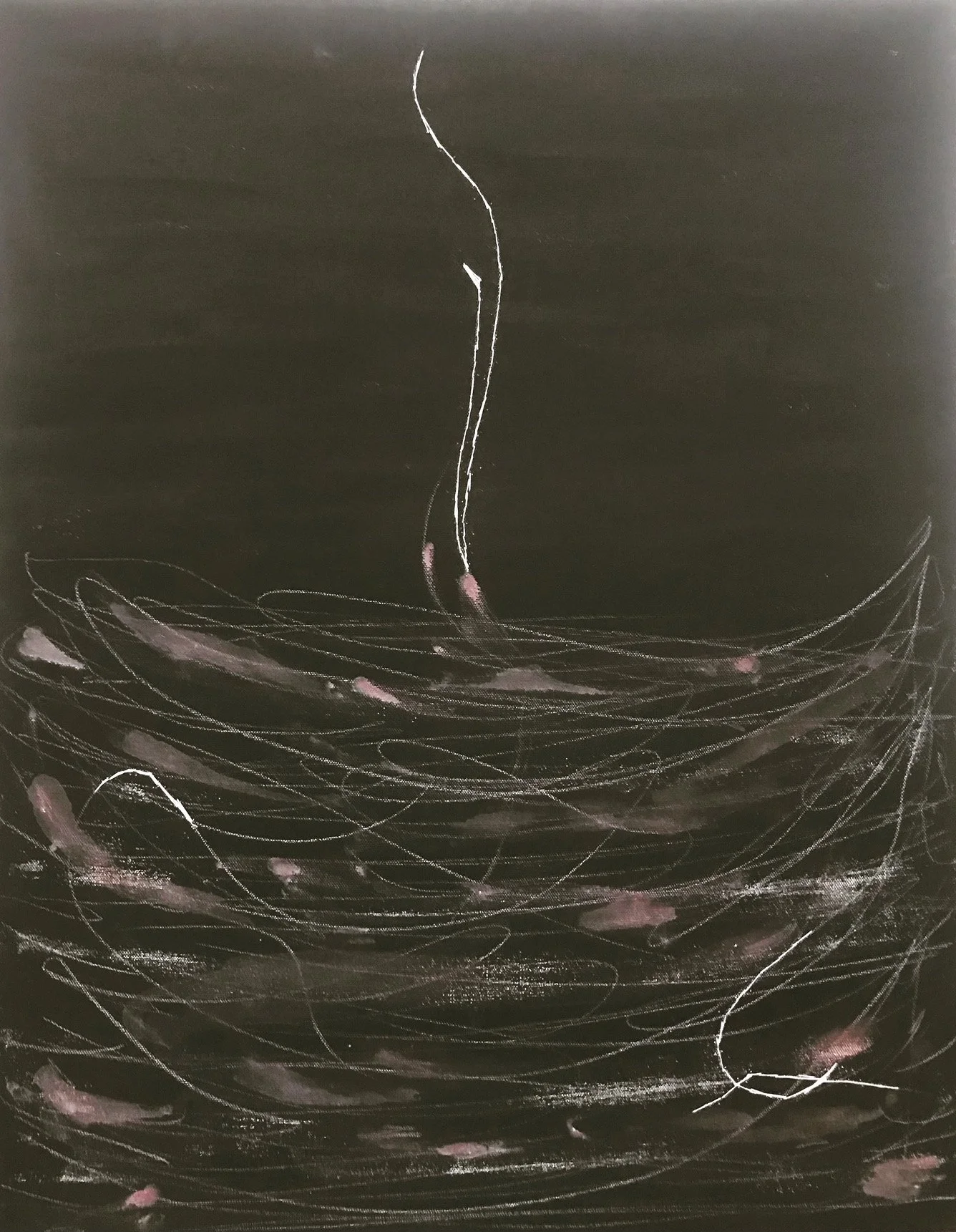 C2AF3C9D-7427-4349-844D-74F45DE91C9A 2.JPG