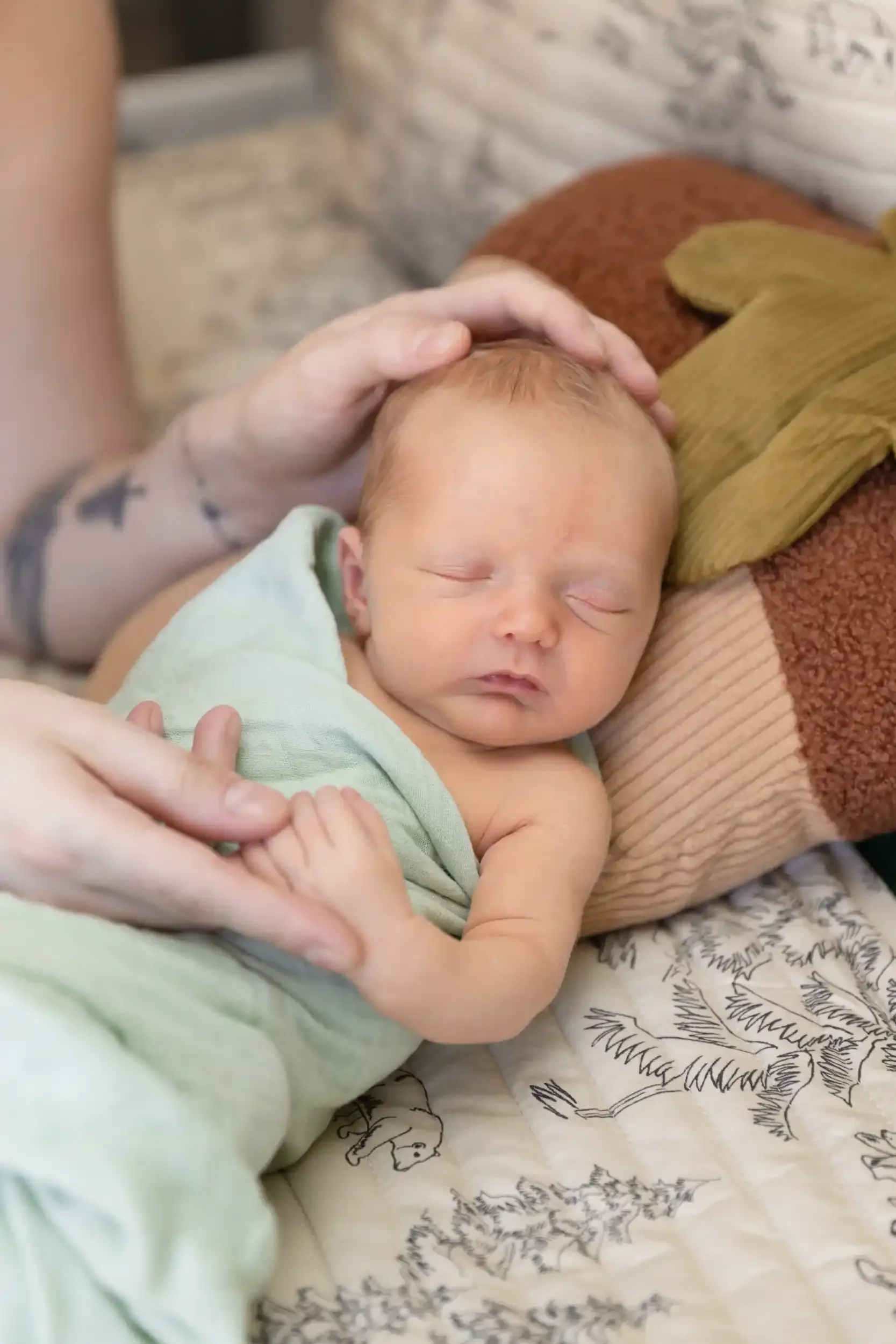 family-photography-gallery-4-finnegan-banks-hall-newborn-photos-2.webp