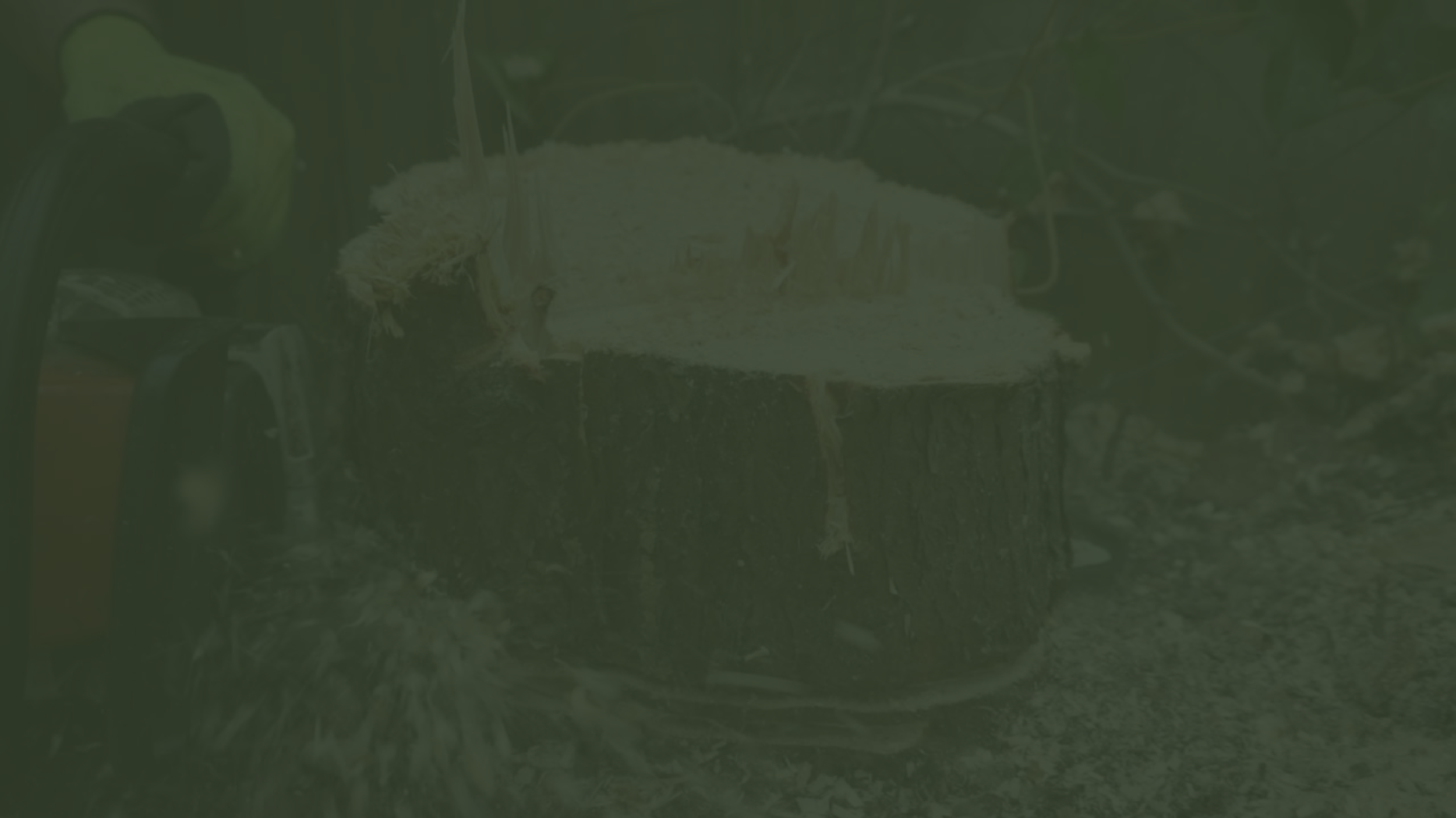 New Way Tree Service (Presentation).png