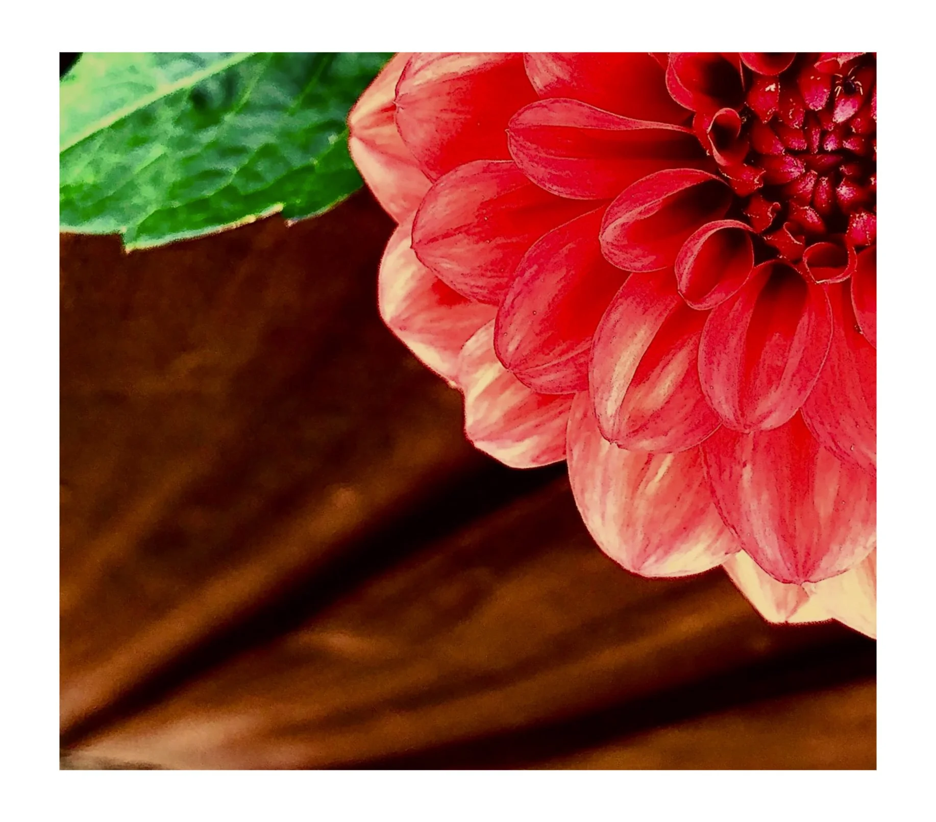 How to Make Sustainable Change &amp; Stick to New Years’ Resolutions 