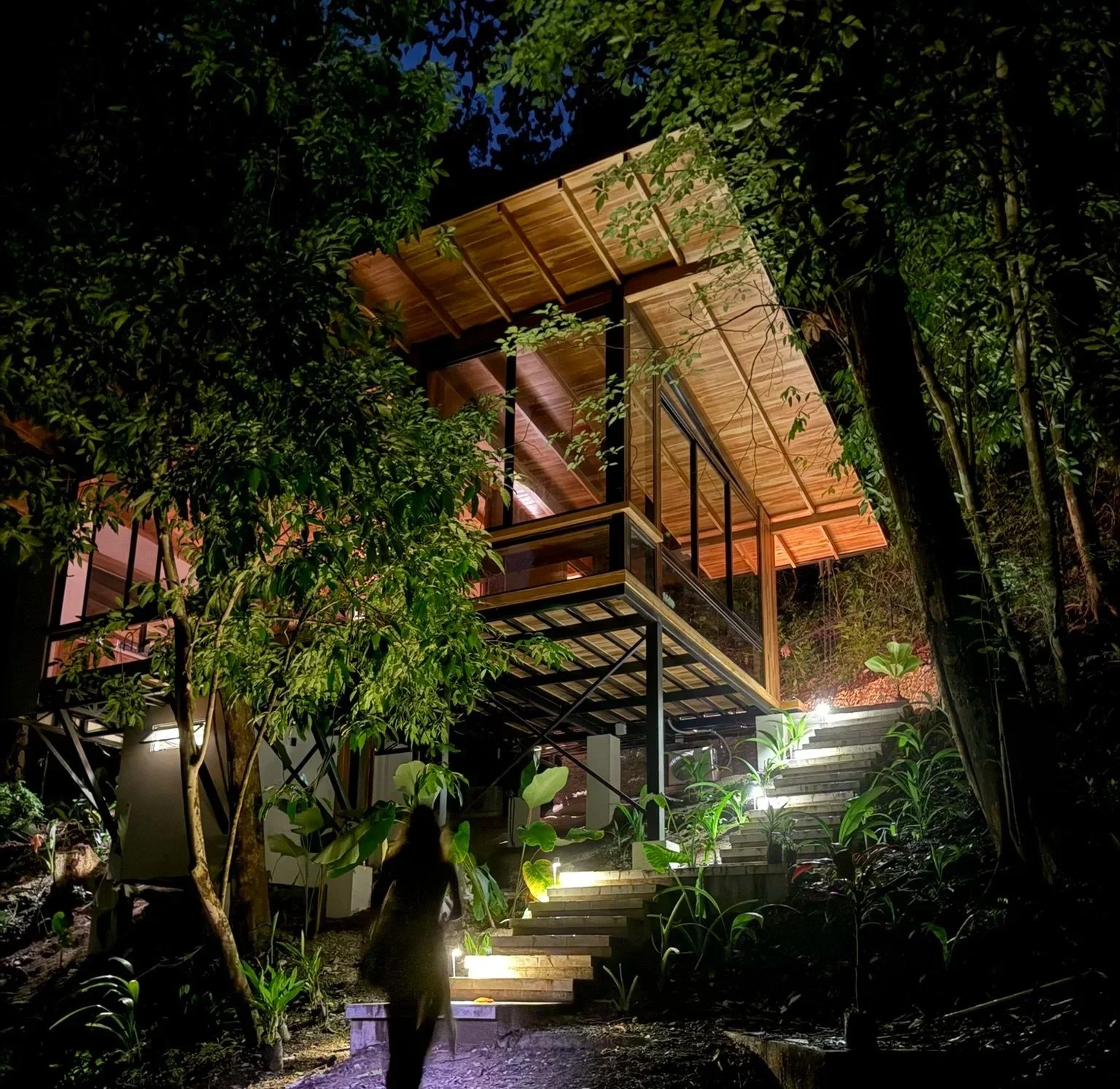 TREEHOUSE C