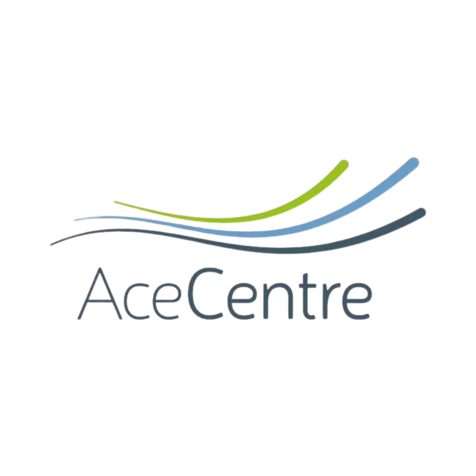Ace Centre