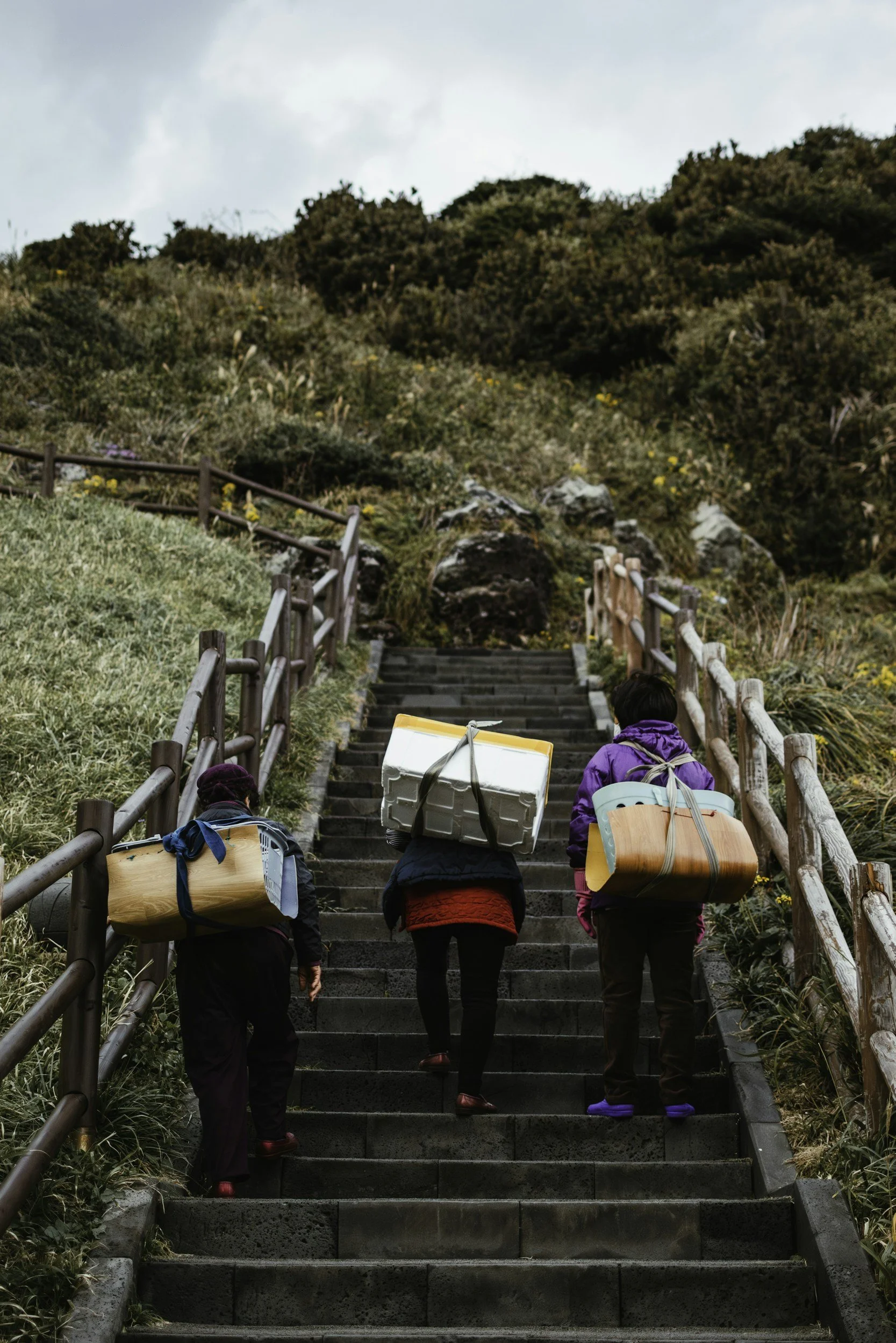 People carrying gear up a staircase trail, representing the support, accountability, and guidance provided through ADHD coaching.